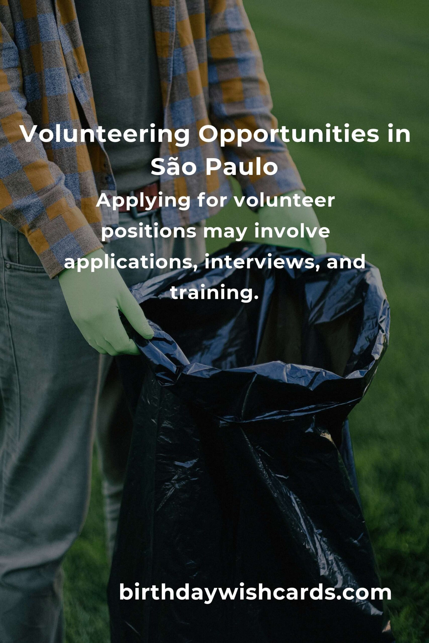 How to Start Volunteering in São Paulo: A Comprehensive Guide for College Students