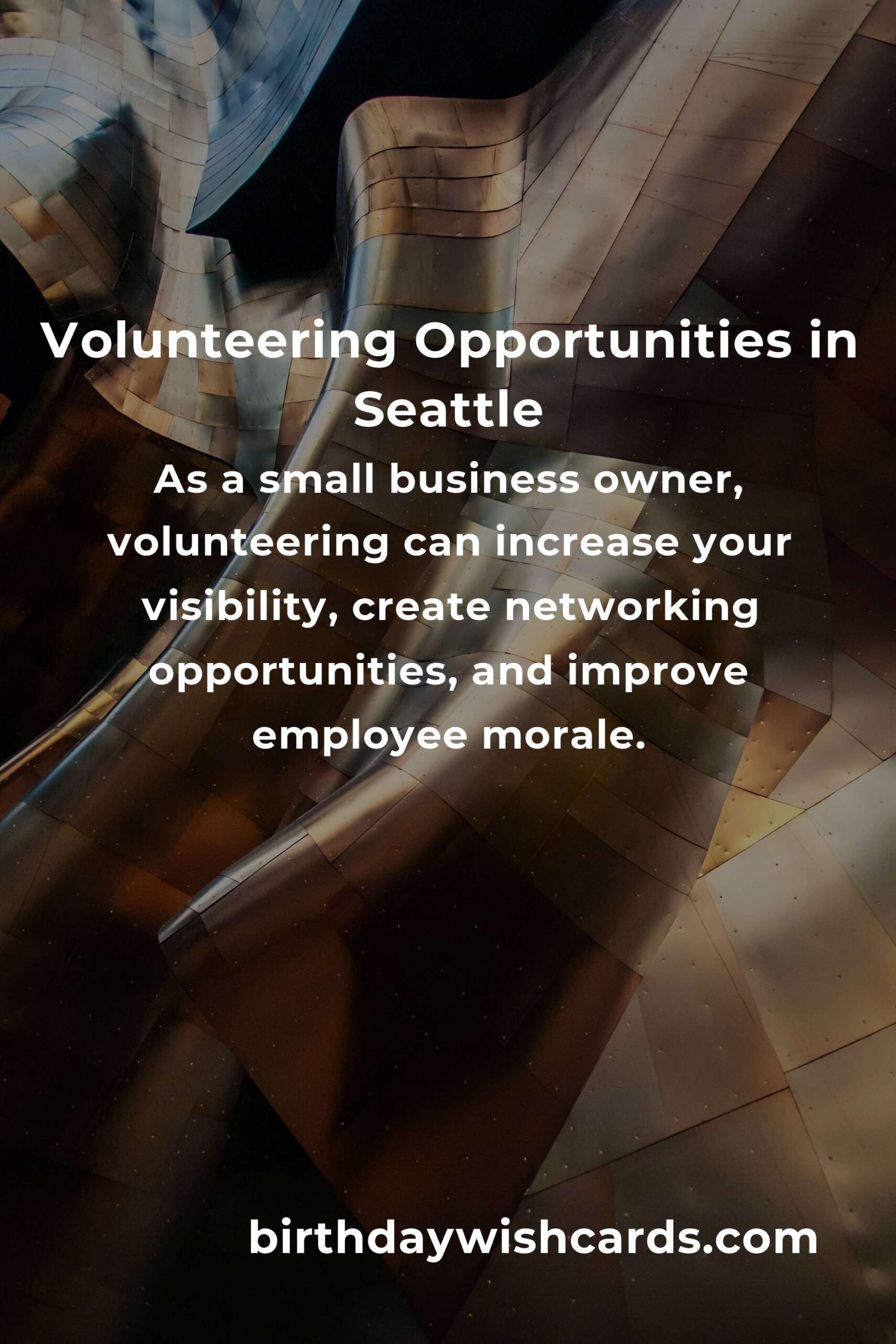How to Start Volunteering in Seattle: A Guide for Small Business Owners