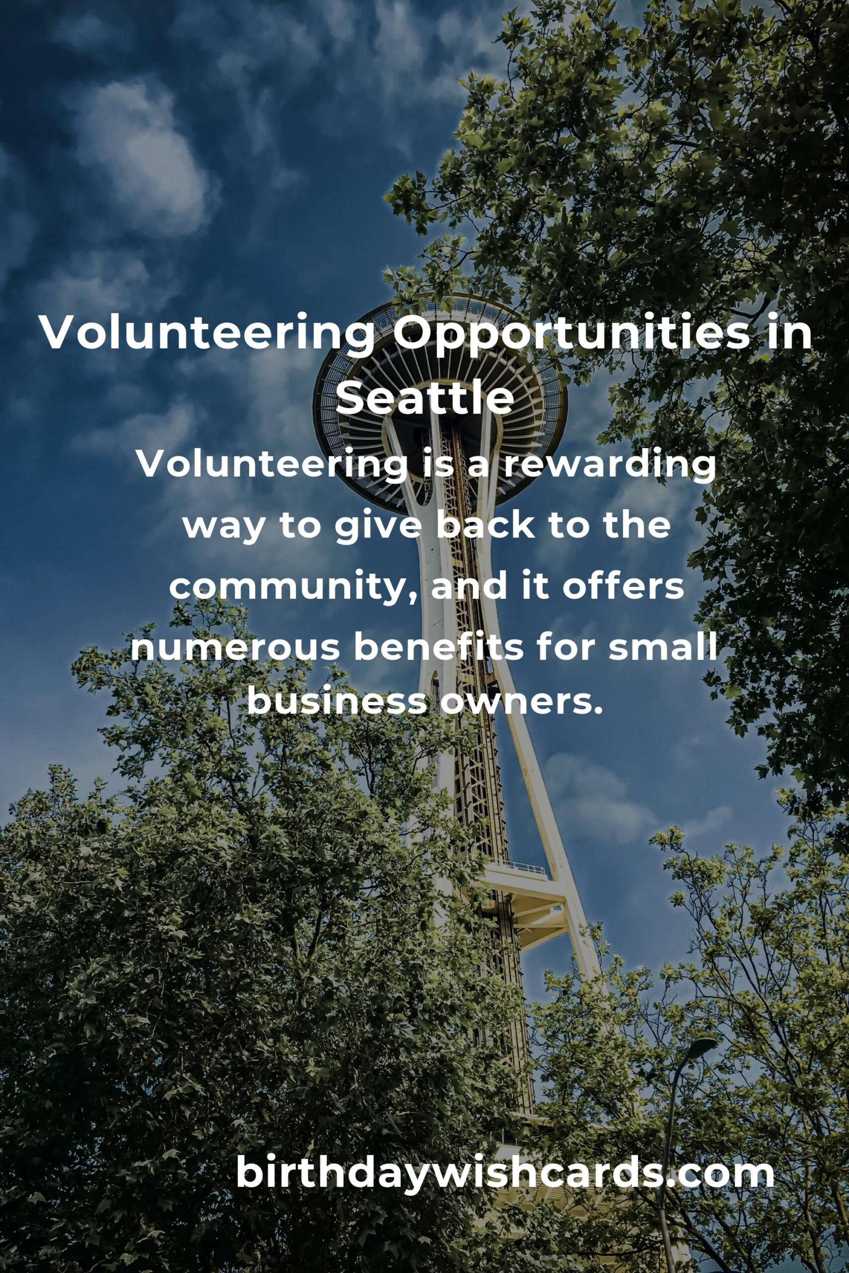 How to Start Volunteering in Seattle: A Guide for Small Business Owners