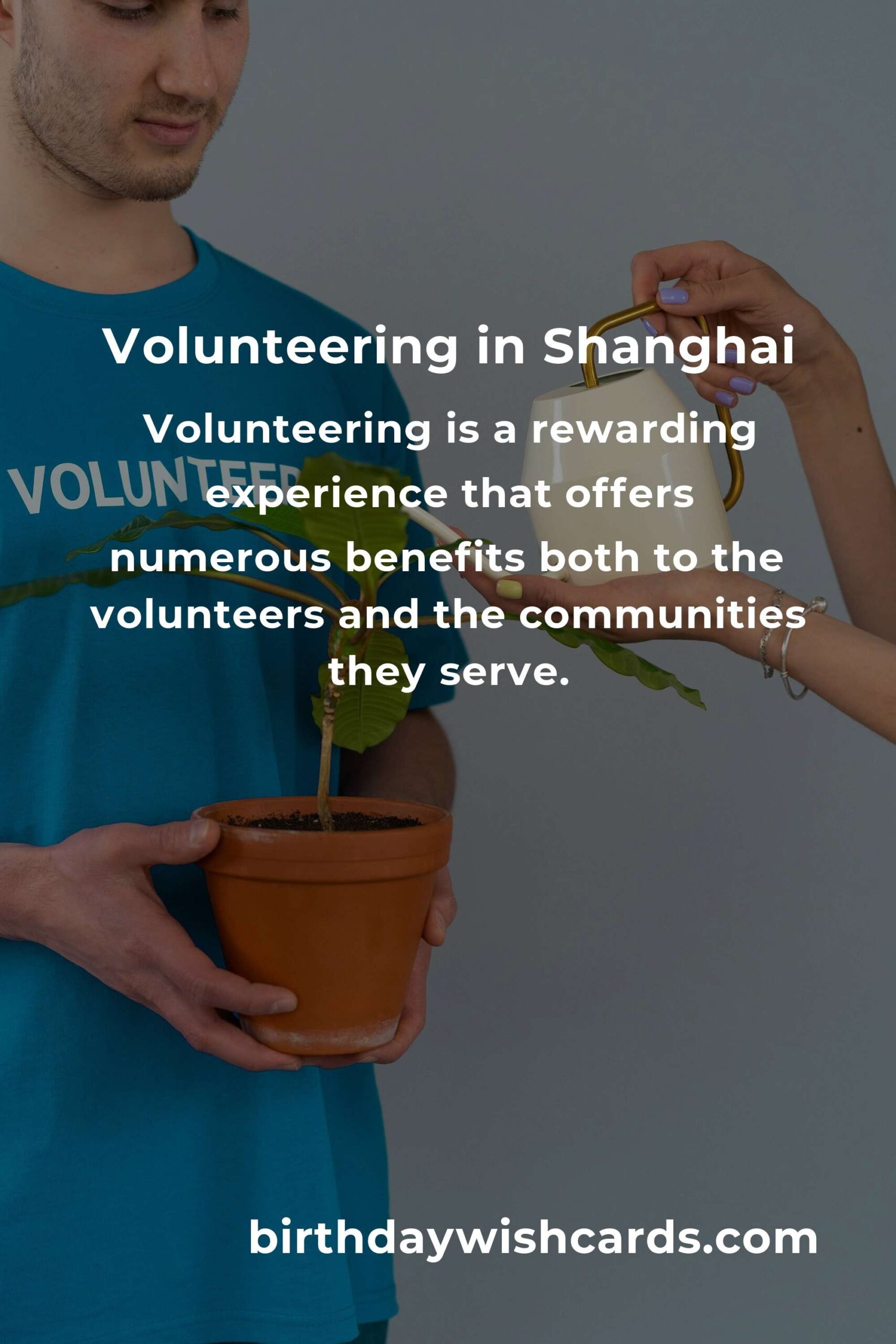 How to Start Volunteering in Shanghai: A Comprehensive Guide for First-Time Volunteers