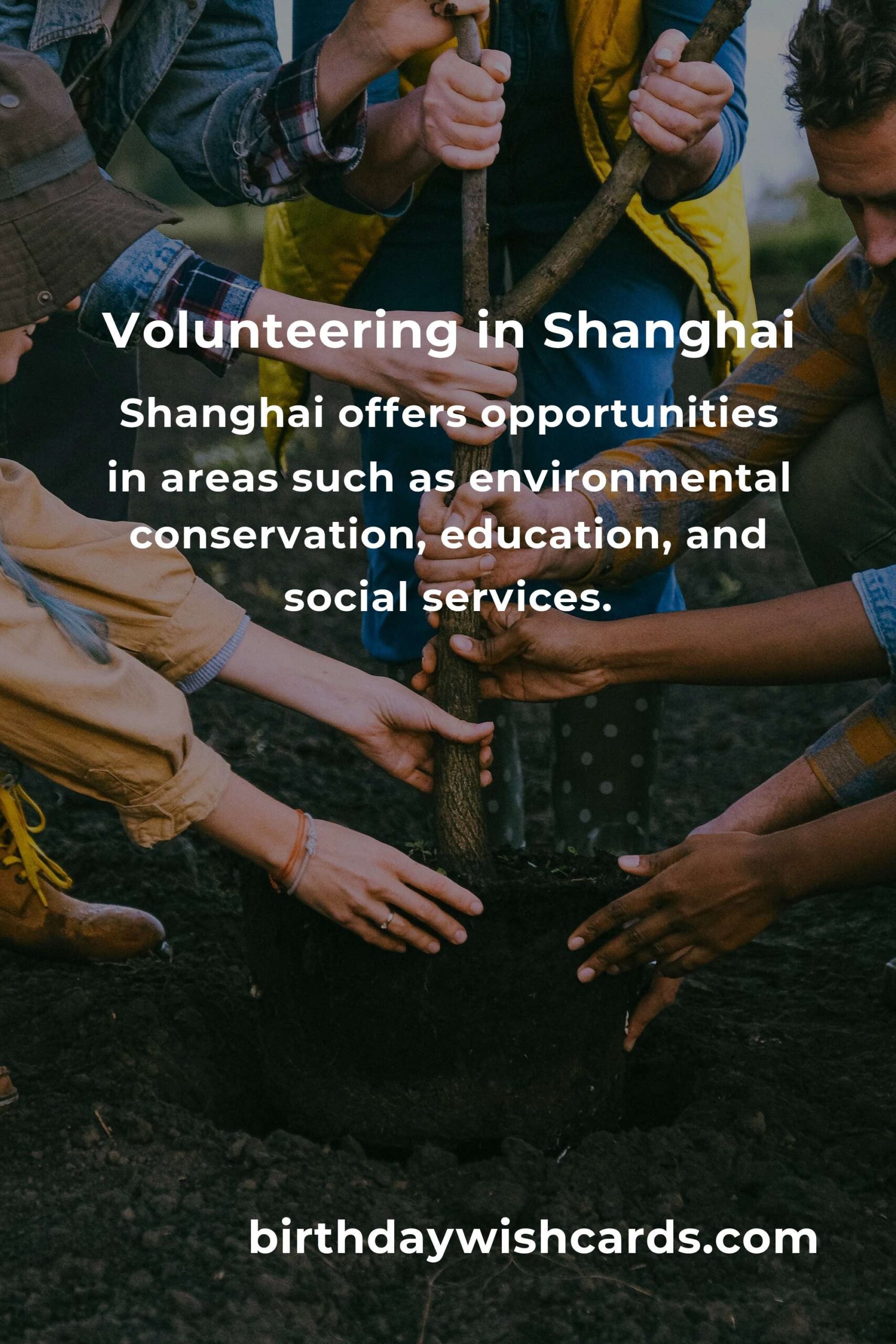 How to Start Volunteering in Shanghai: A Comprehensive Guide for First-Time Volunteers
