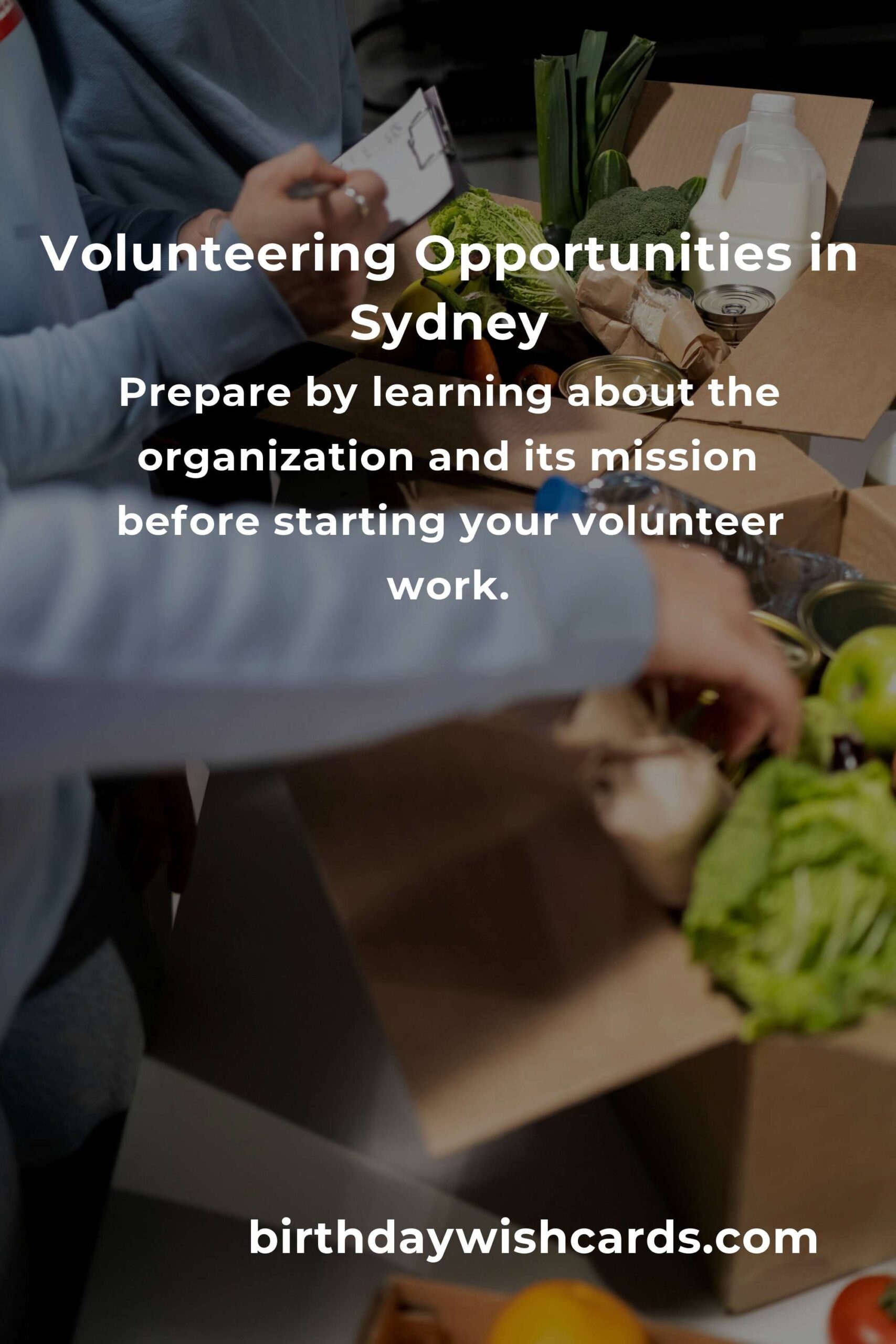 How to Start Volunteering in Sydney: A Comprehensive Guide for Young Adults