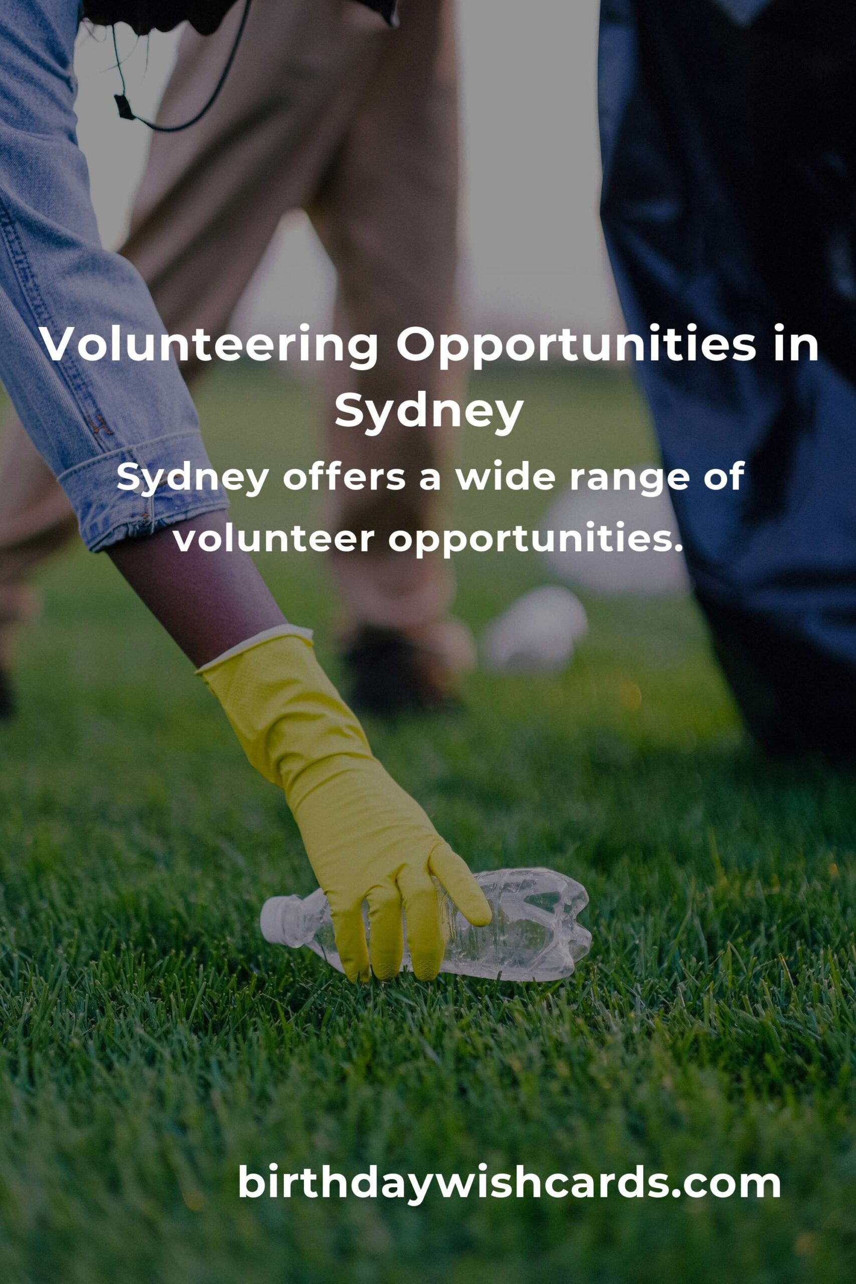 How to Start Volunteering in Sydney: A Comprehensive Guide for Young Adults