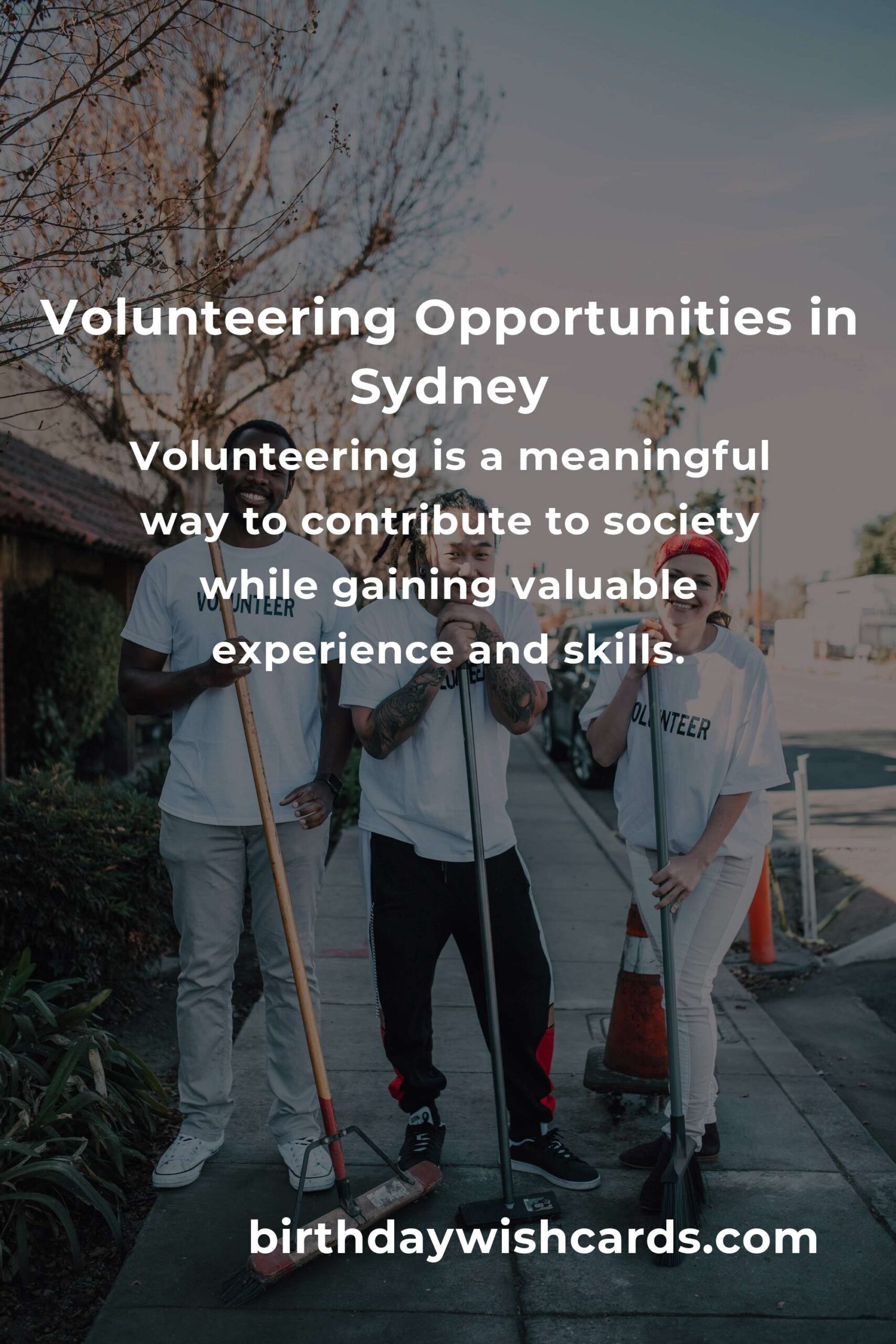 How to Start Volunteering in Sydney: A Comprehensive Guide for Young Adults