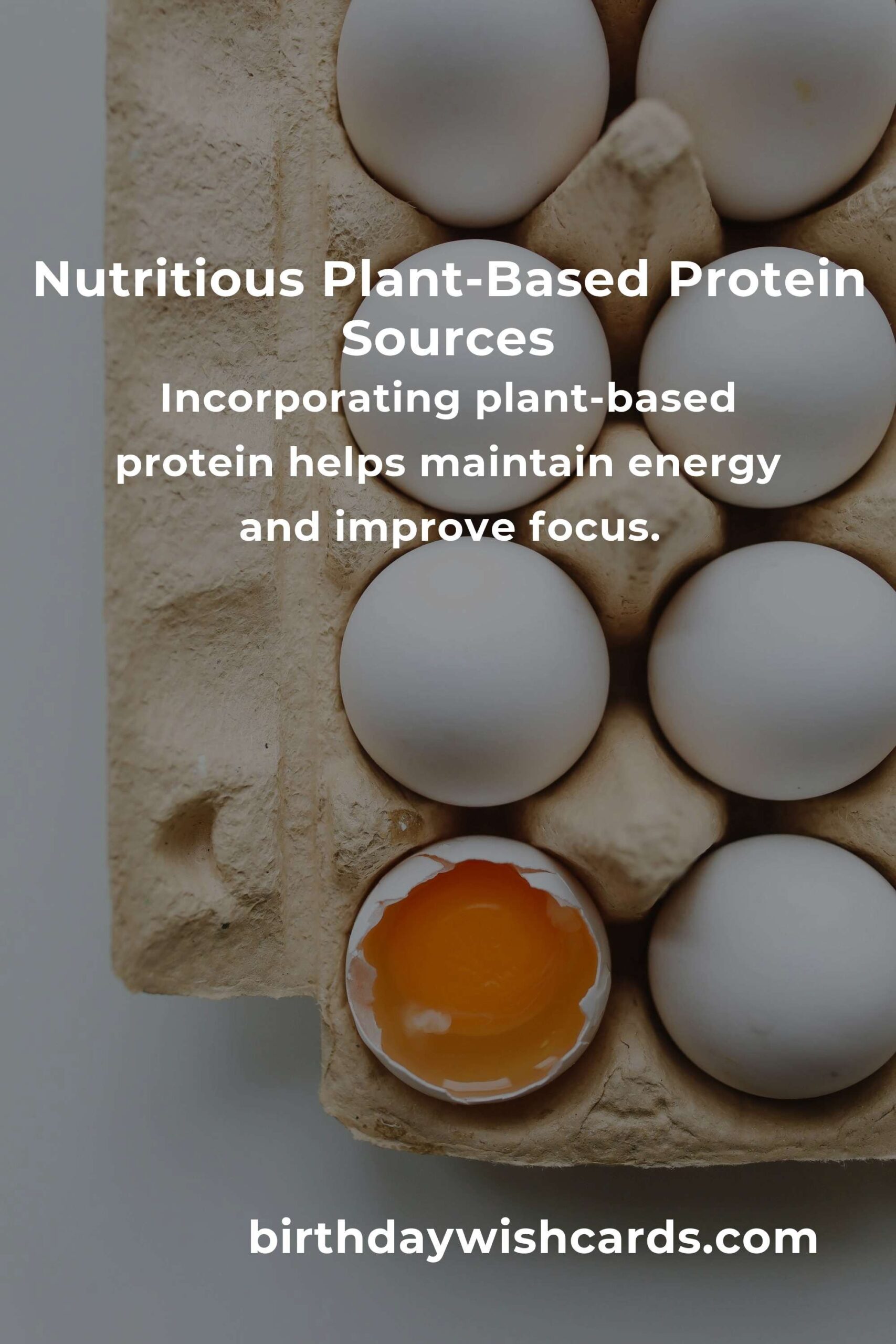 Maximize Your Nutrition: Healthy Plant-Based Protein for Digital Nomads