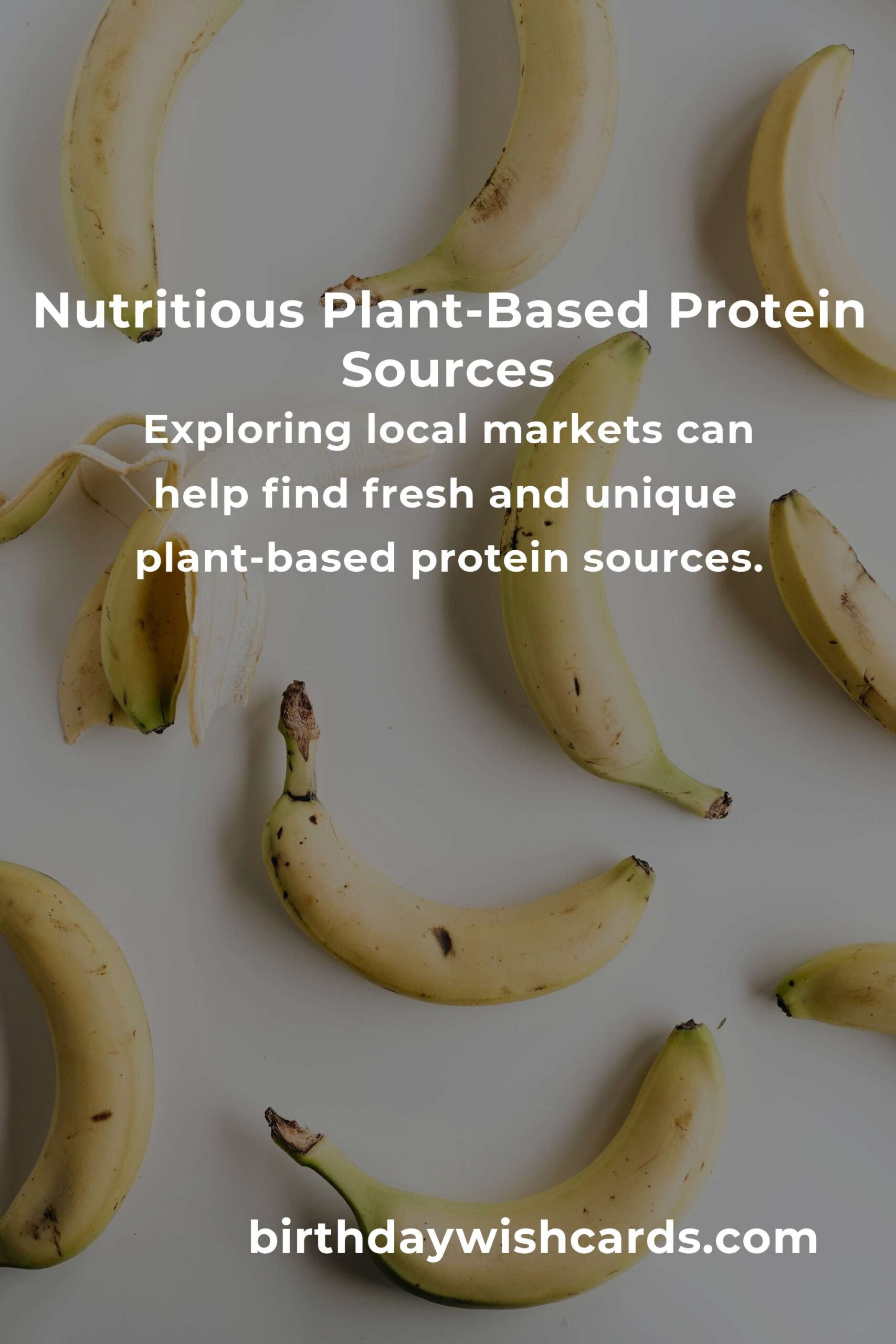 Maximize Your Nutrition: Healthy Plant-Based Protein for Digital Nomads
