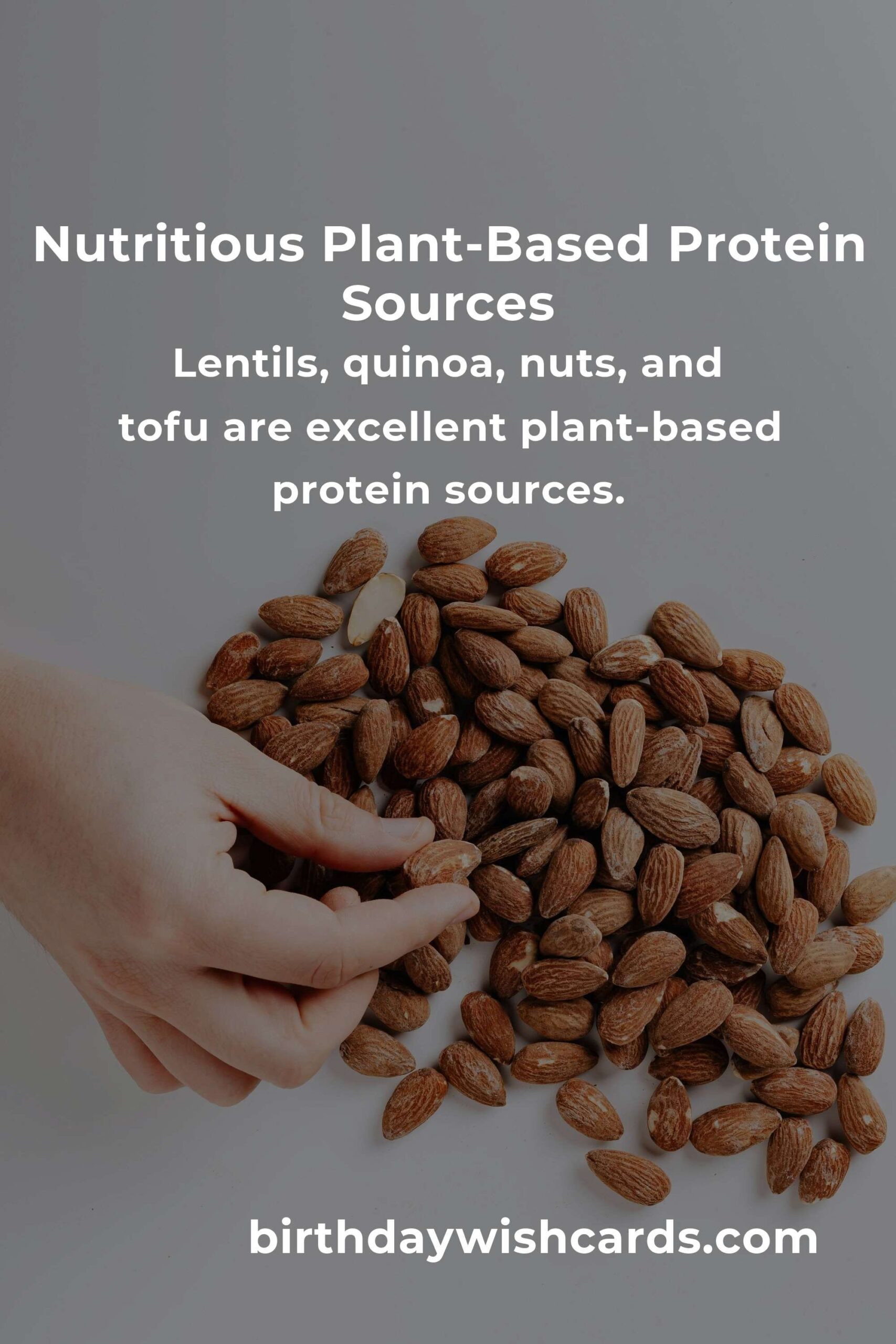 Maximize Your Nutrition: Healthy Plant-Based Protein for Digital Nomads