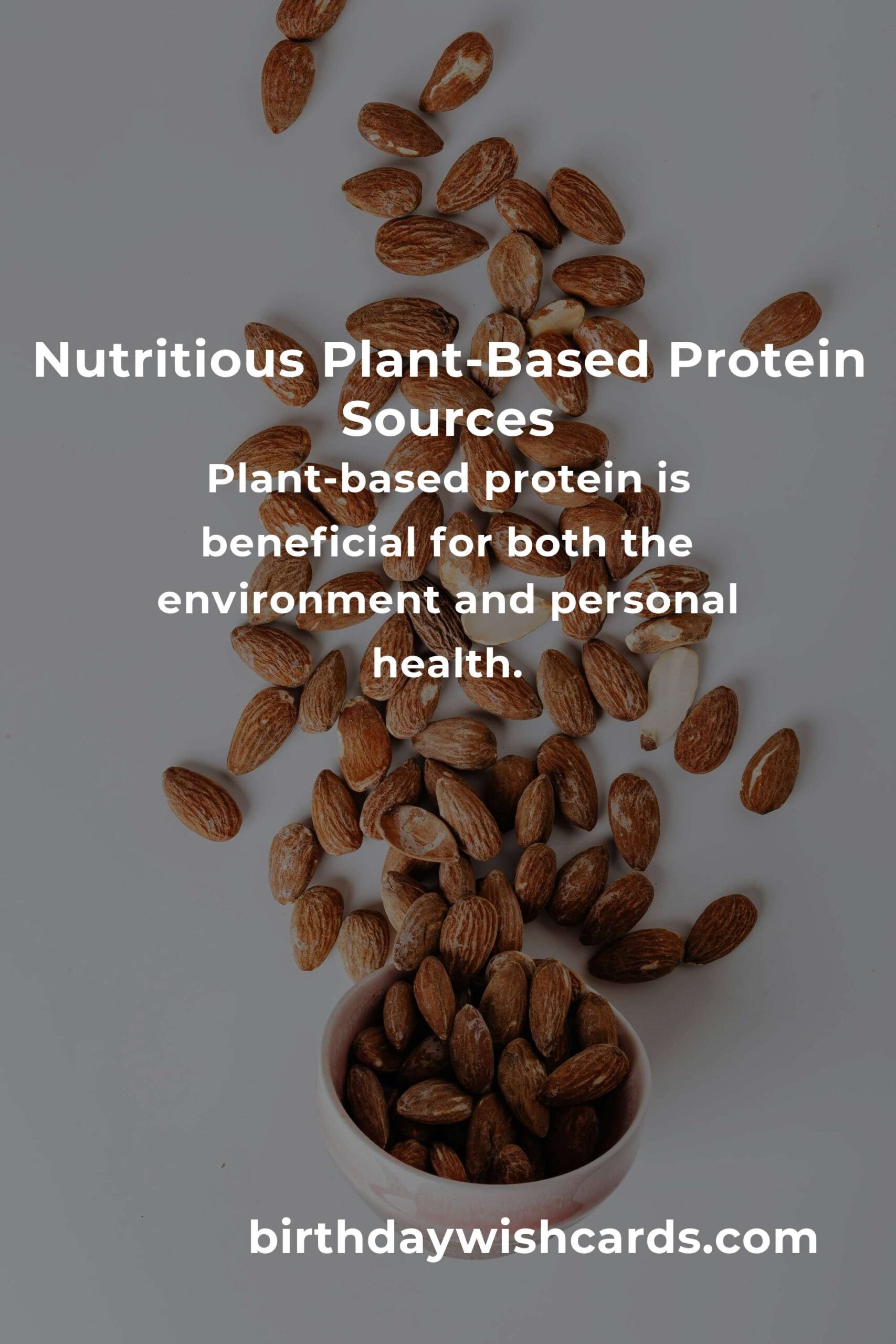 Maximize Your Nutrition: Healthy Plant-Based Protein for Digital Nomads