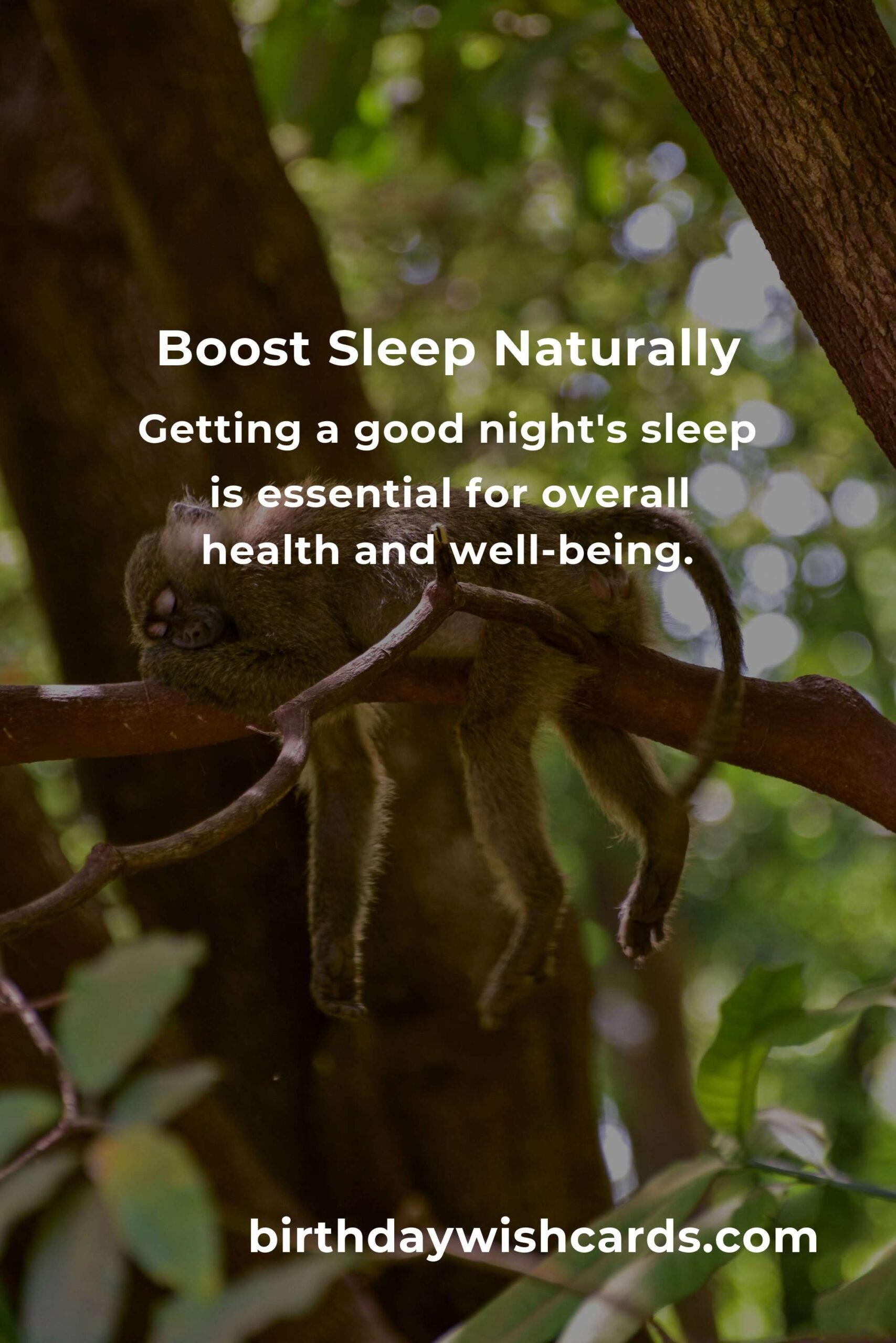 Natural Ways to Boost Sleep Quality at Home
