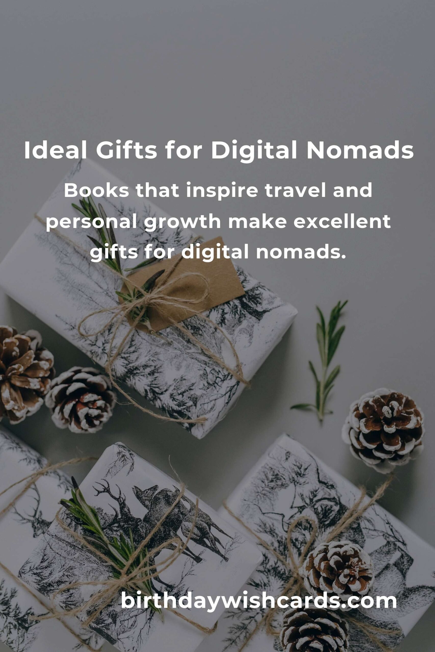 Perfect Retirement Anniversary Gifts for Digital Nomads