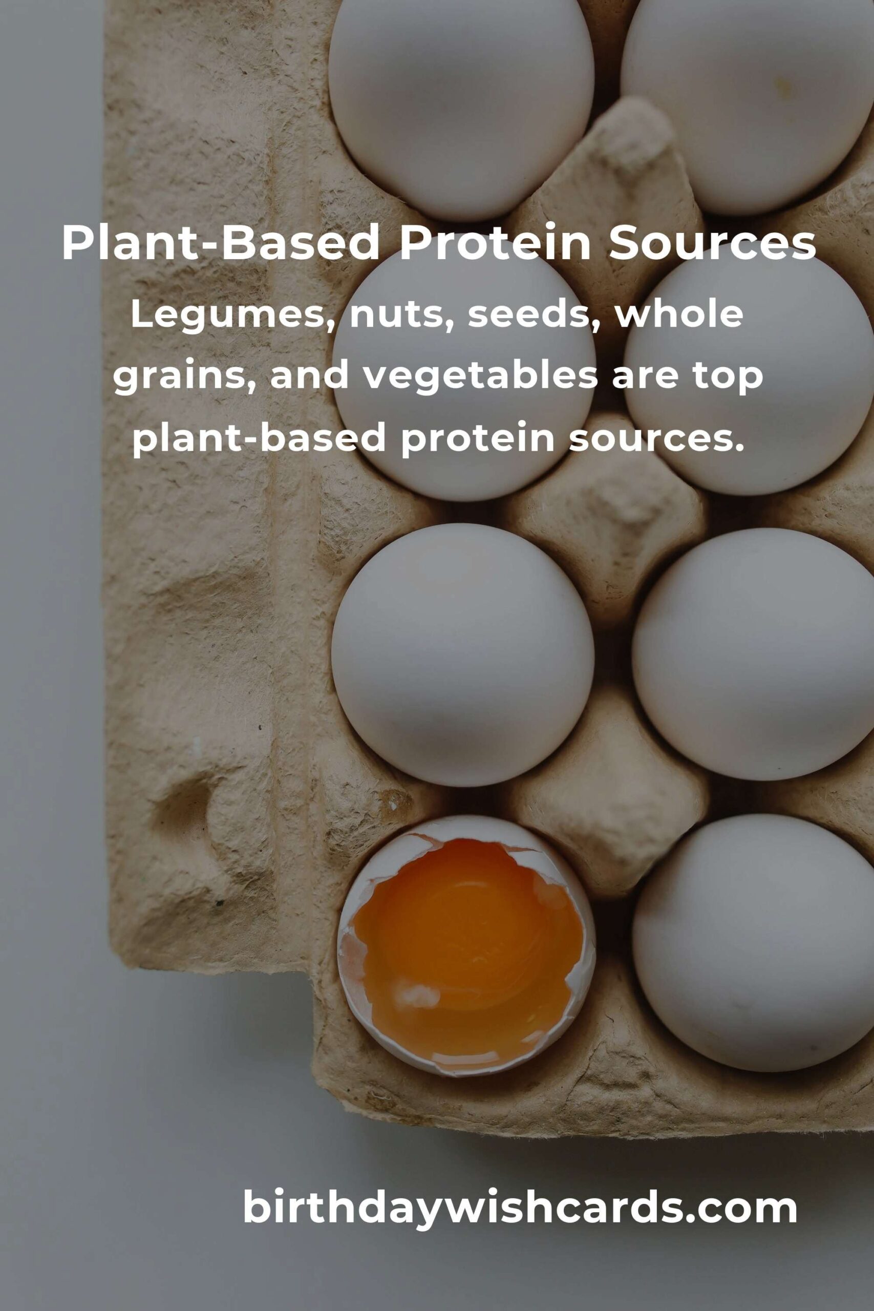 Plant-Based Protein Guide for Remote Workers: Boosting Health and Productivity