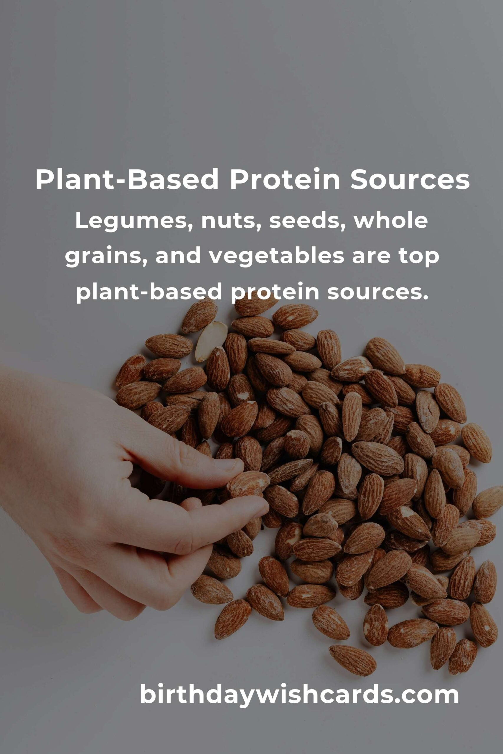 Plant-Based Protein Guide for Remote Workers: Boosting Health and Productivity