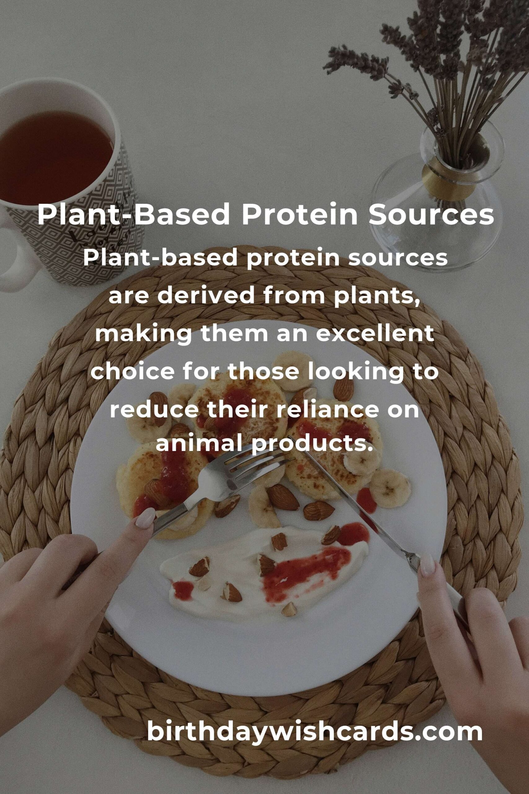 Plant-Based Protein for Professionals: A Complete Guide