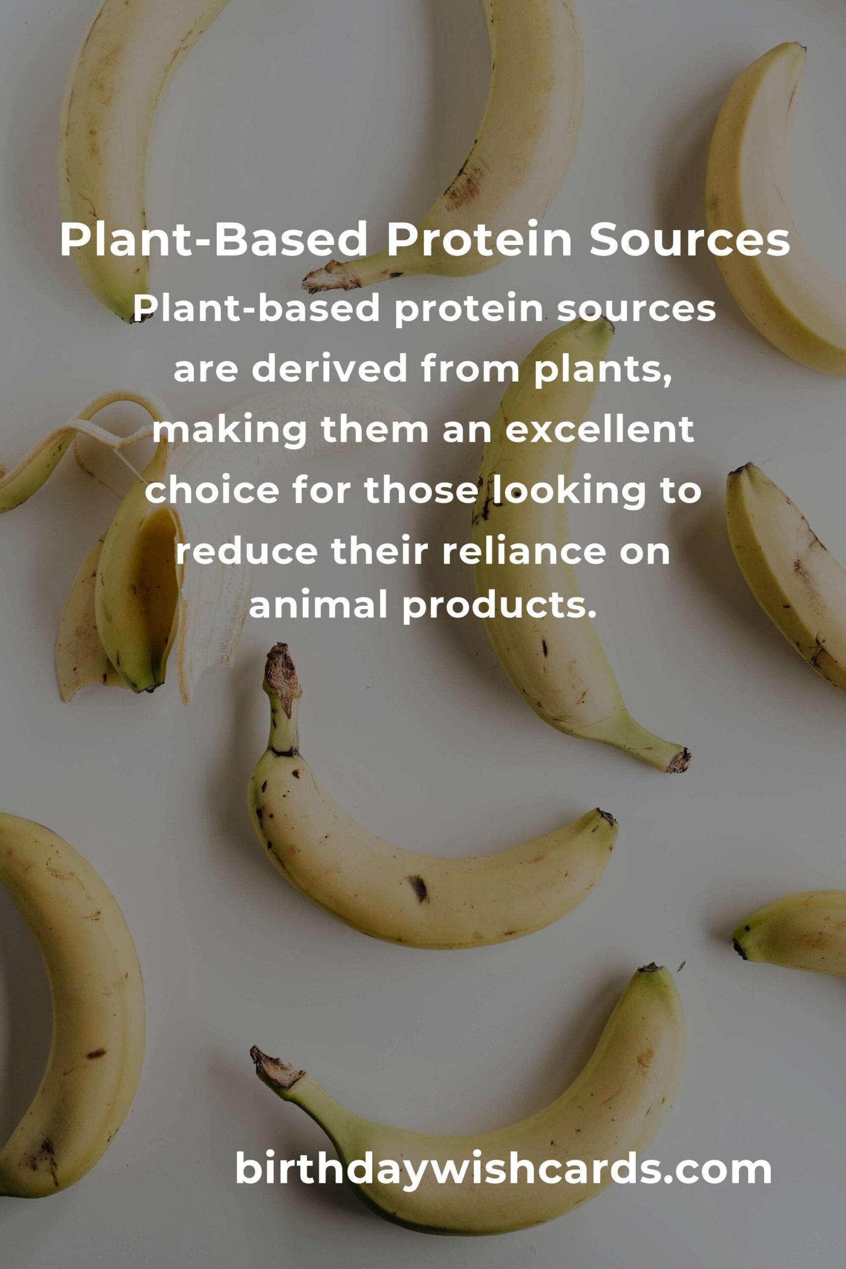 Plant-Based Protein for Professionals: A Complete Guide