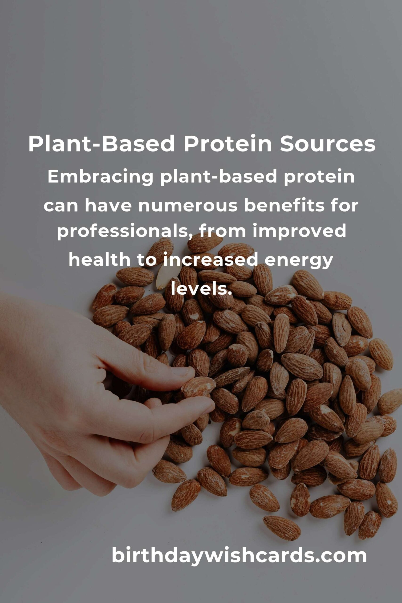 Plant-Based Protein for Professionals: A Complete Guide