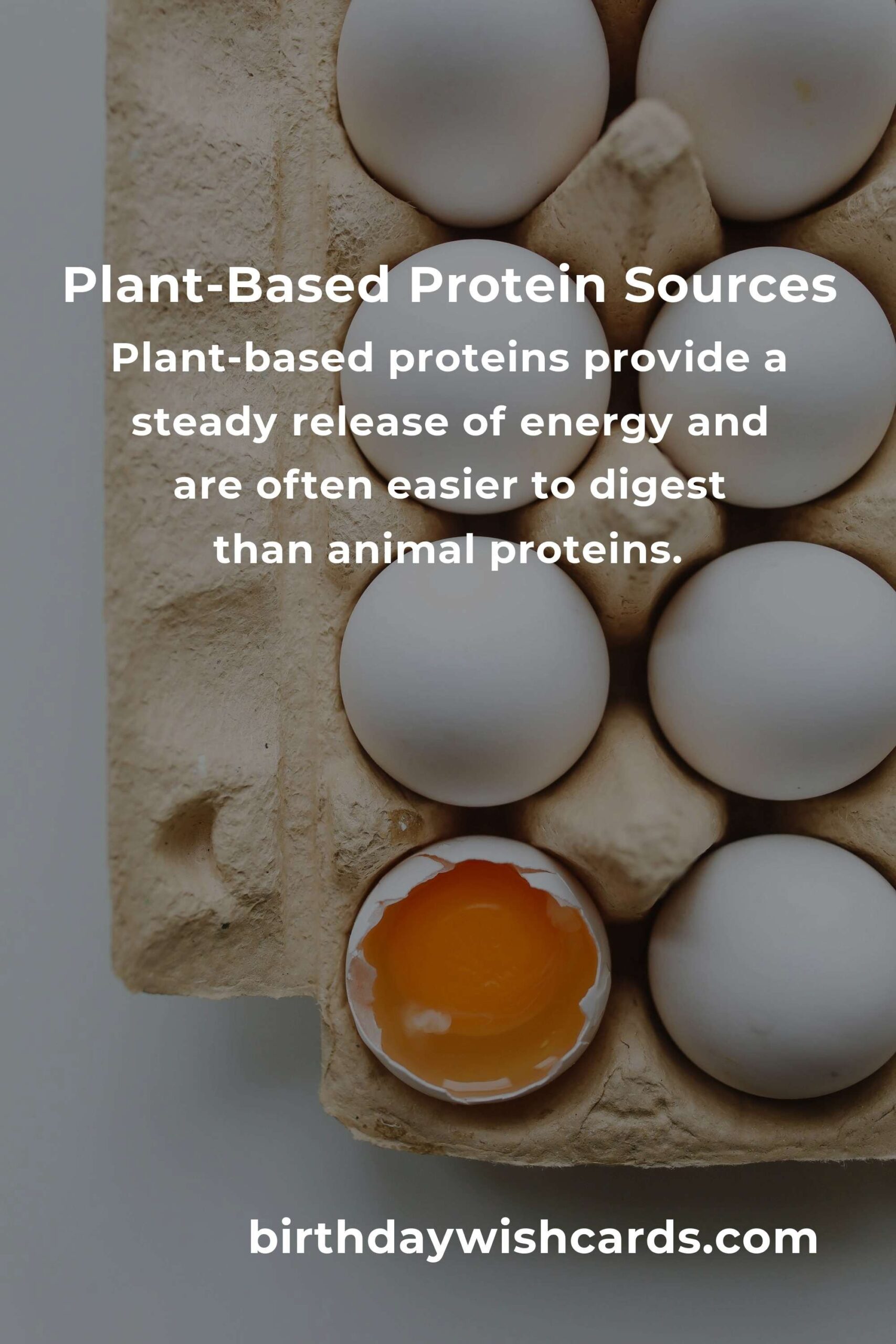Plant-Based Protein for Professionals: A Complete Guide