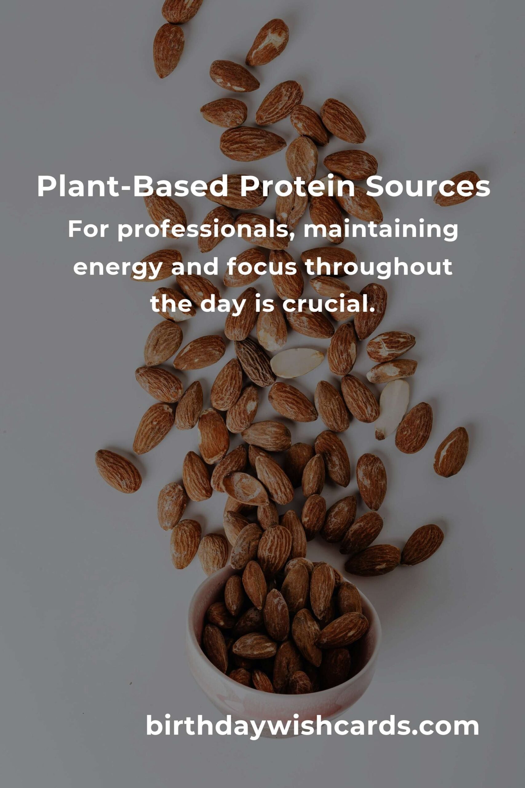 Plant-Based Protein for Professionals: A Complete Guide
