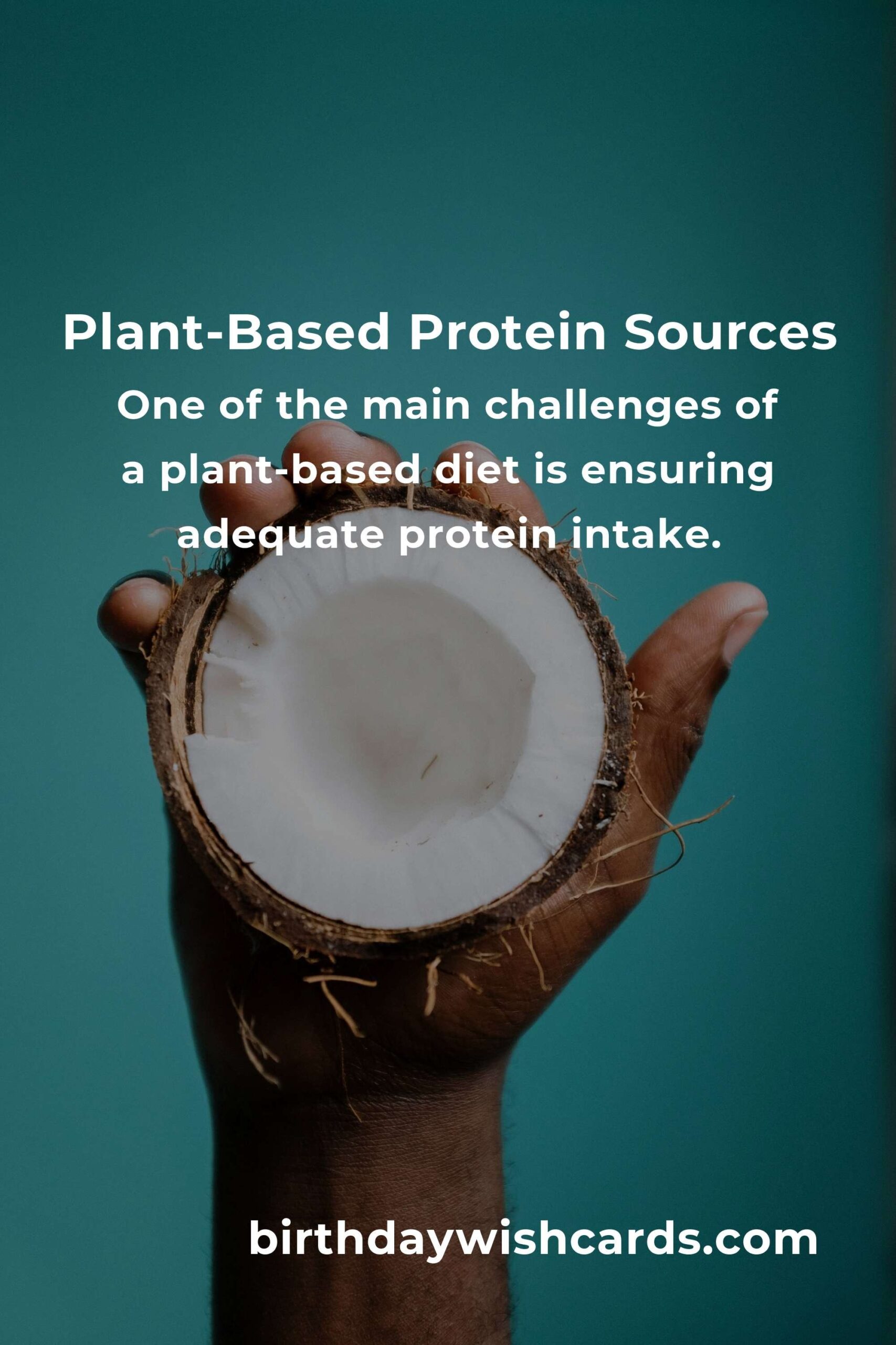 Plant-Based Protein for Professionals: A Complete Guide