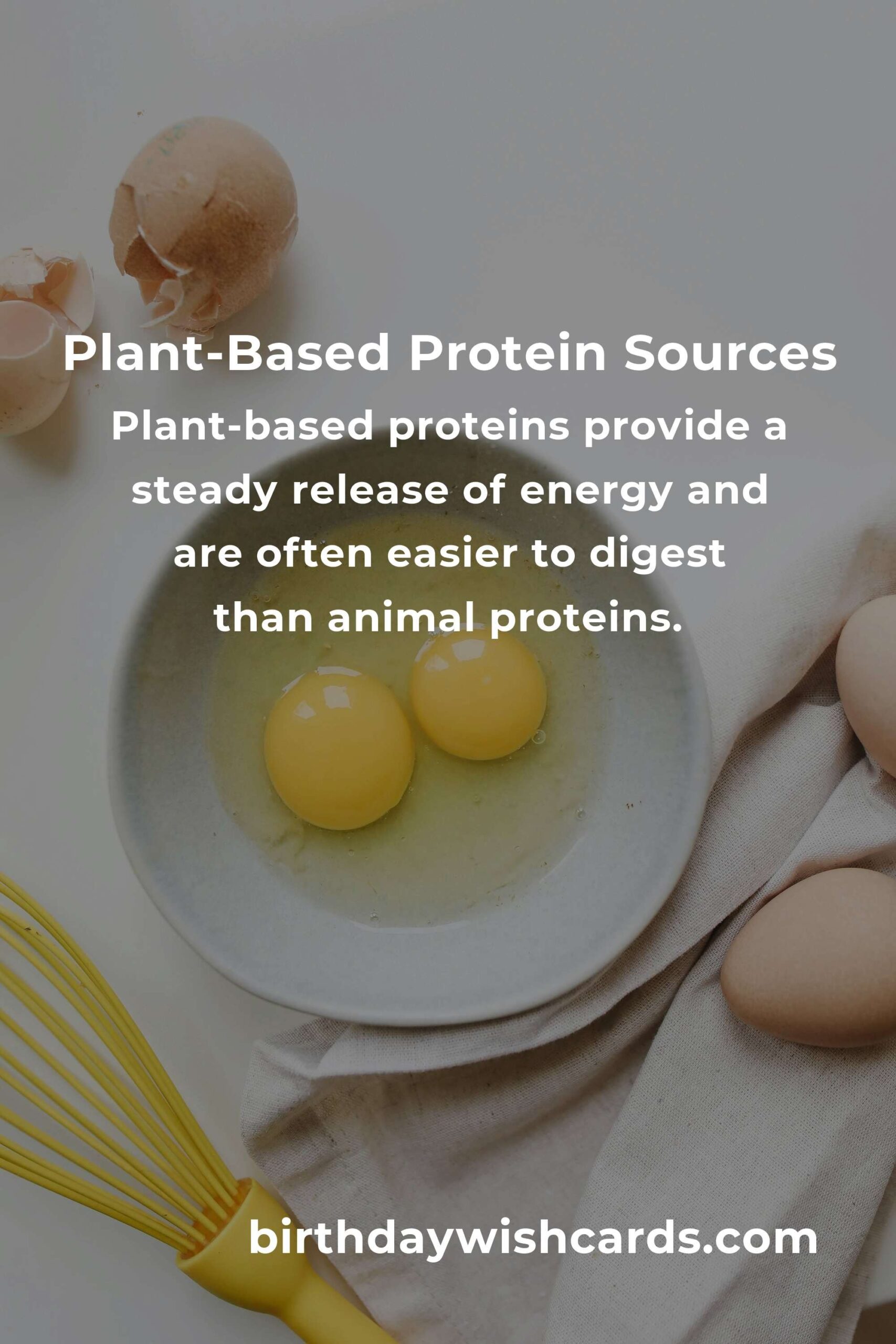 Plant-Based Protein for Professionals: A Complete Guide