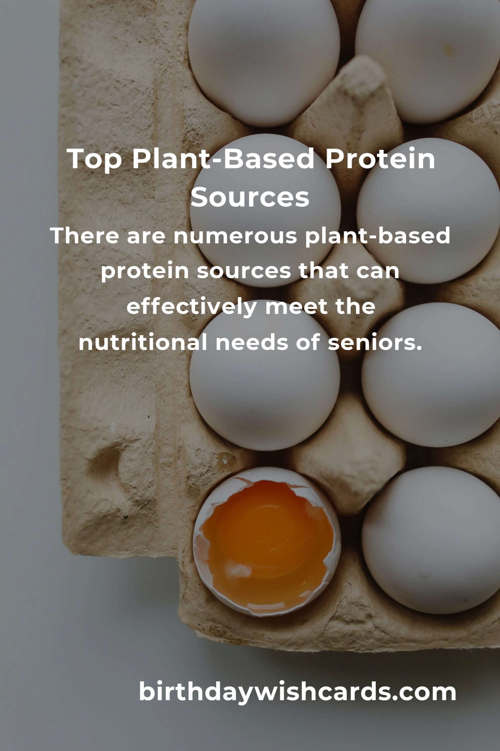 Plant-Based Protein for Seniors: Complete Guide