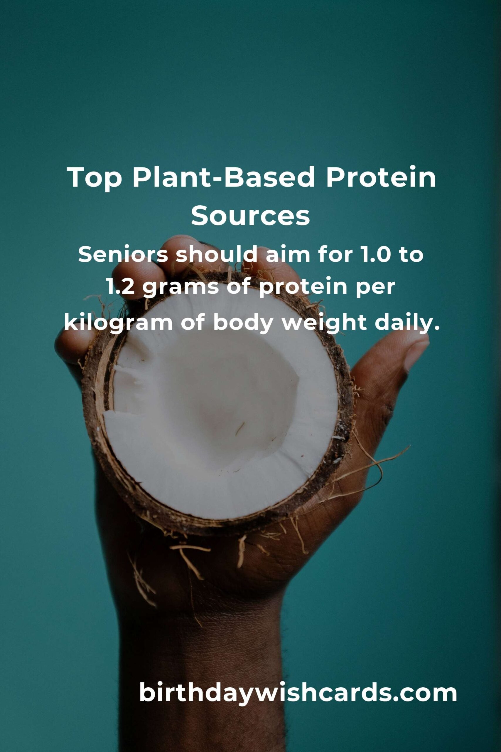 Plant-Based Protein for Seniors: Complete Guide