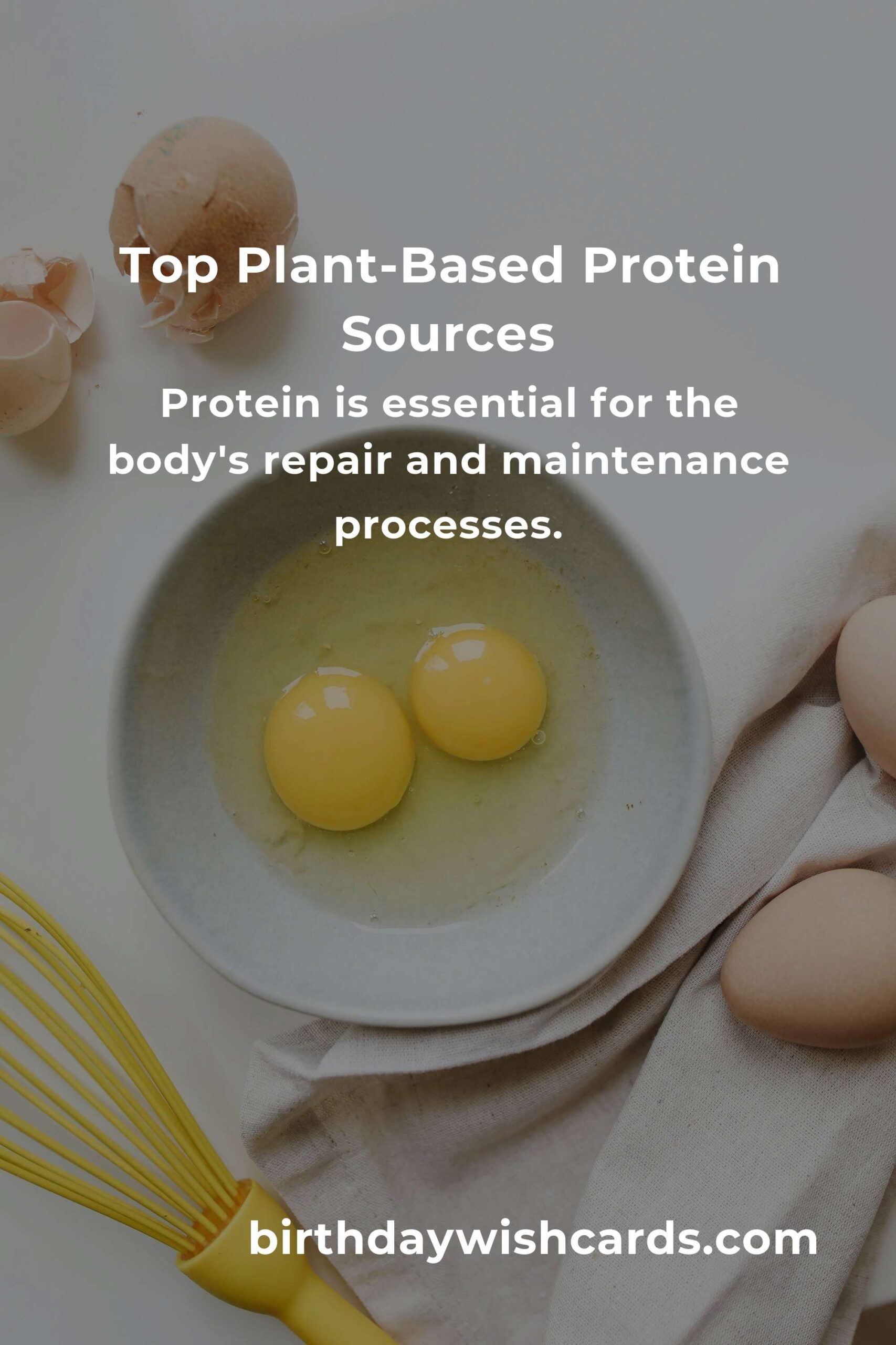 Plant-Based Protein for Seniors: Complete Guide
