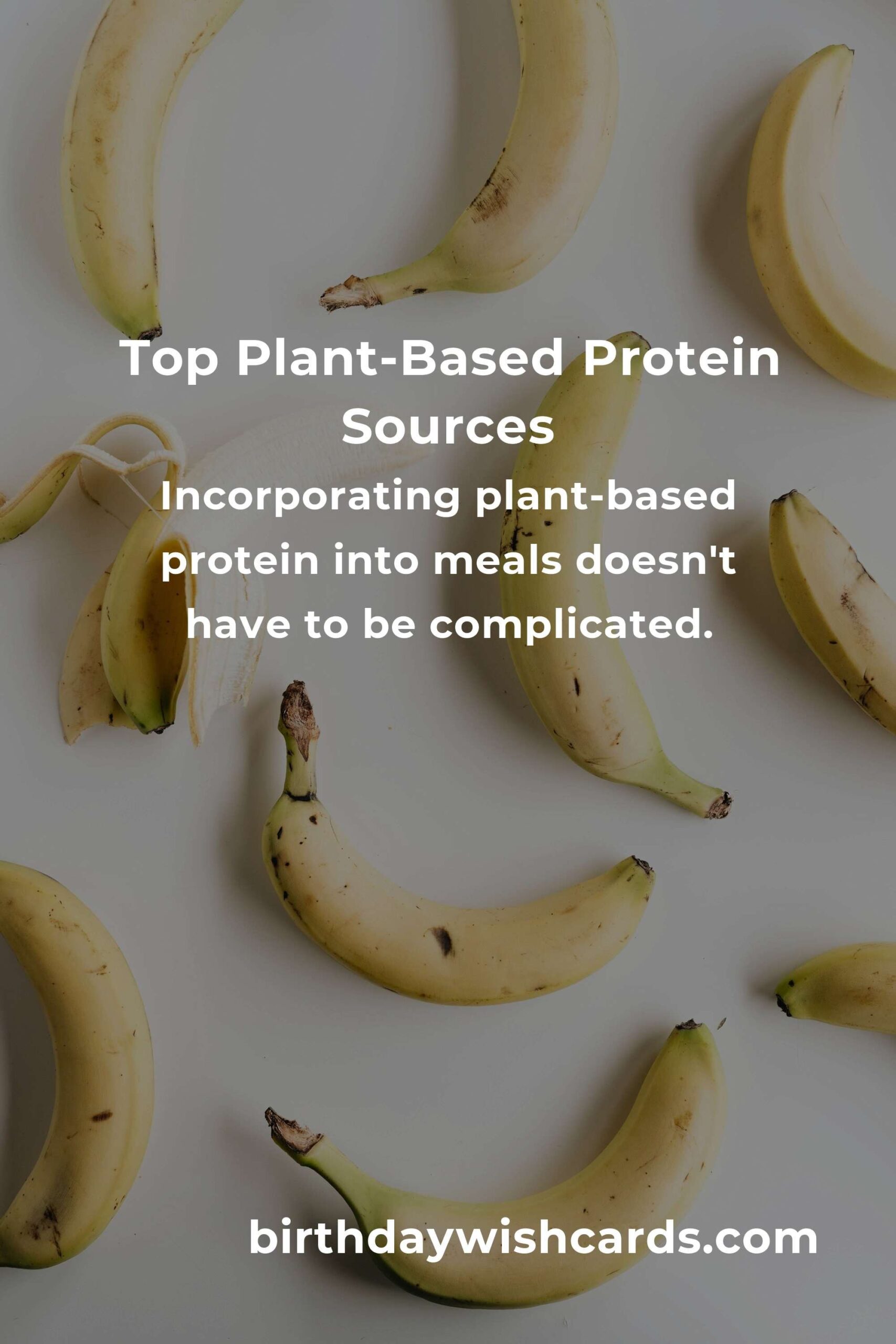 Plant-Based Protein for Seniors: Complete Guide