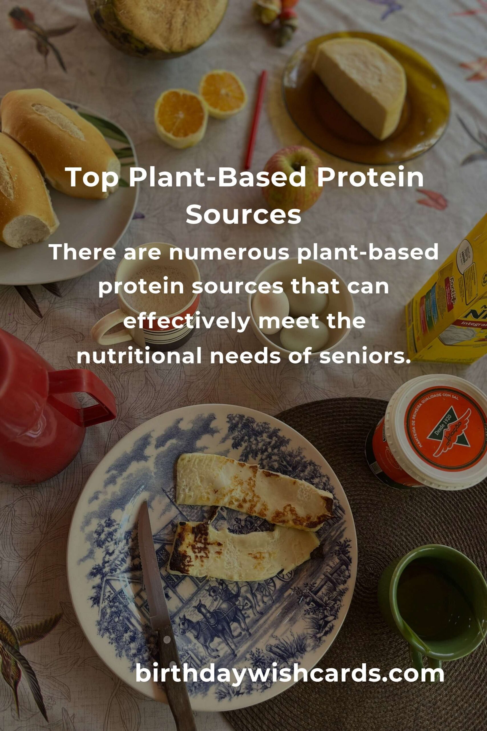 Plant-Based Protein for Seniors: Complete Guide