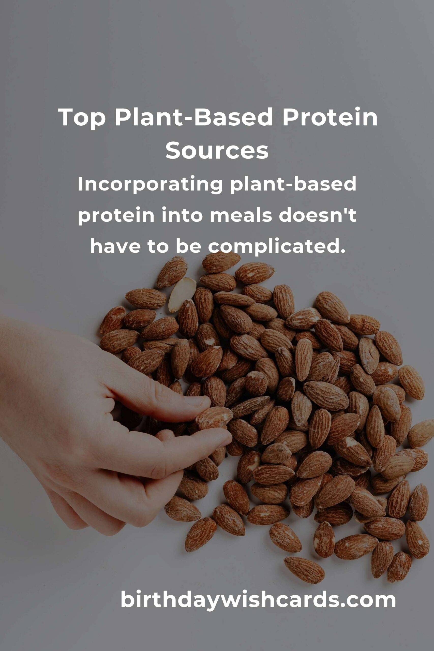 Plant-Based Protein for Seniors: Complete Guide