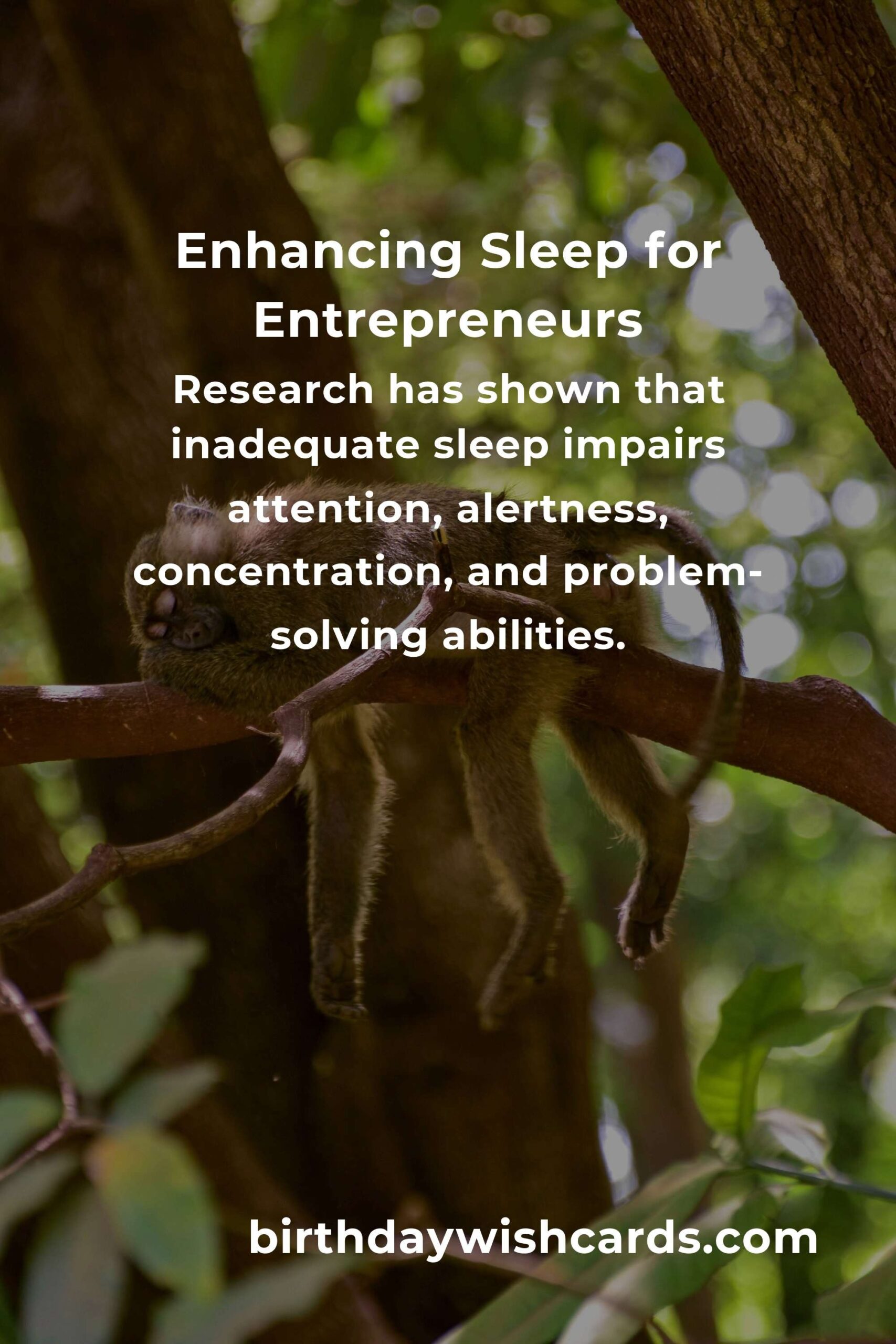 Sleep Quality Guide for Entrepreneurs in 2025: Mastering Rest for Optimal Performance
