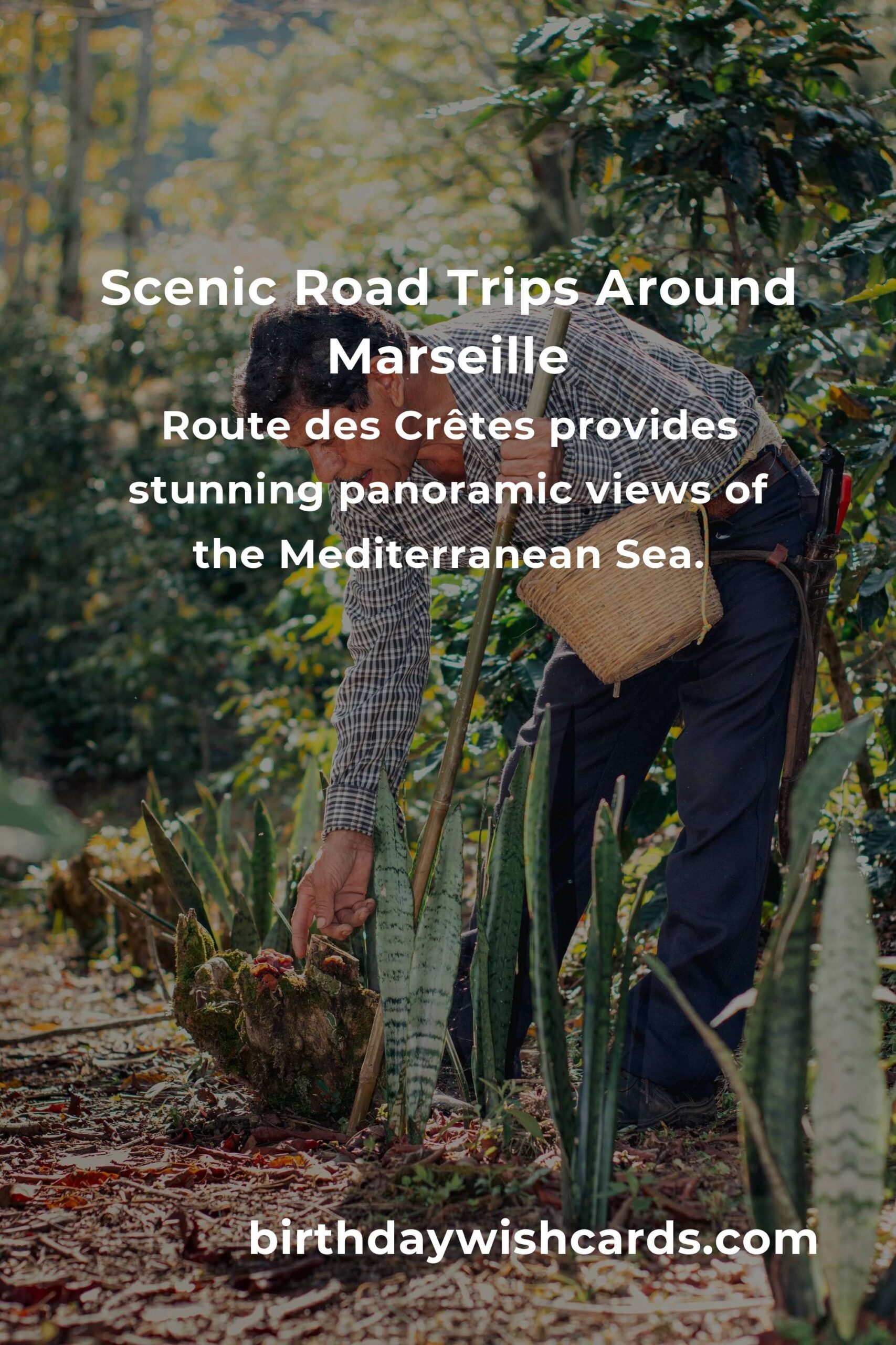 Top 30 Road Trip Routes to Explore Around Marseille