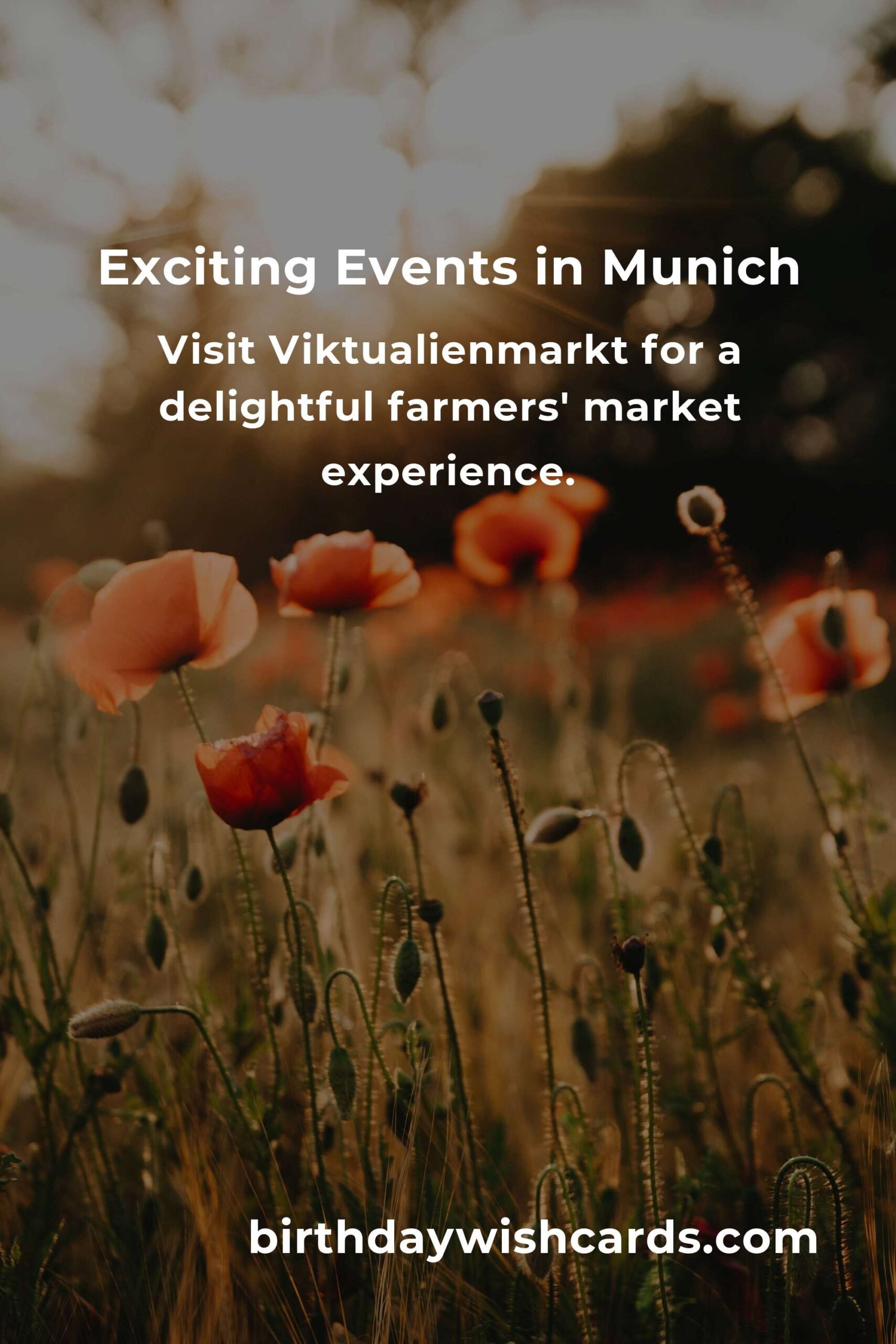 Top Local Events in Munich This Weekend: Discover Exciting Activities