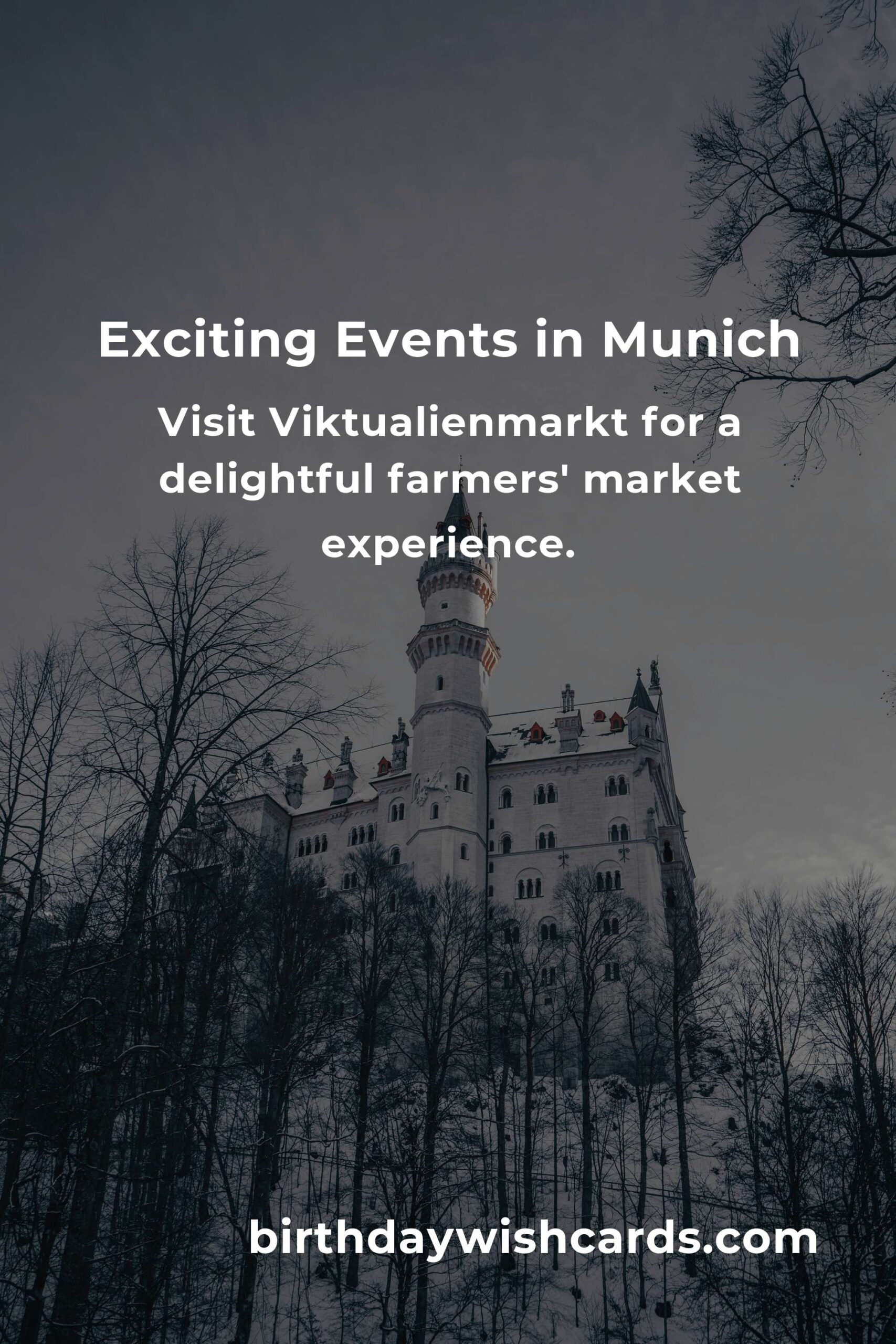 Top Local Events in Munich This Weekend: Discover Exciting Activities