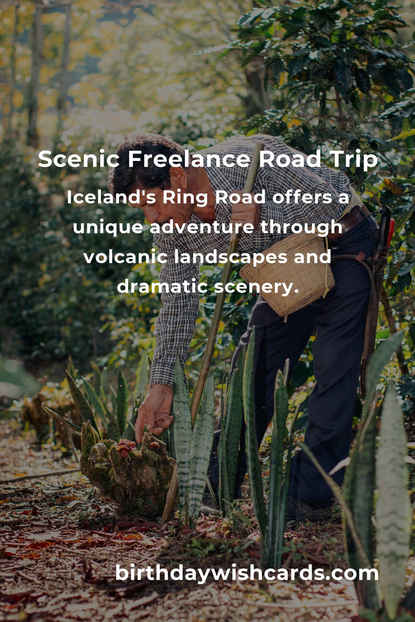 Top Road Trip Routes for Freelancers in 2025