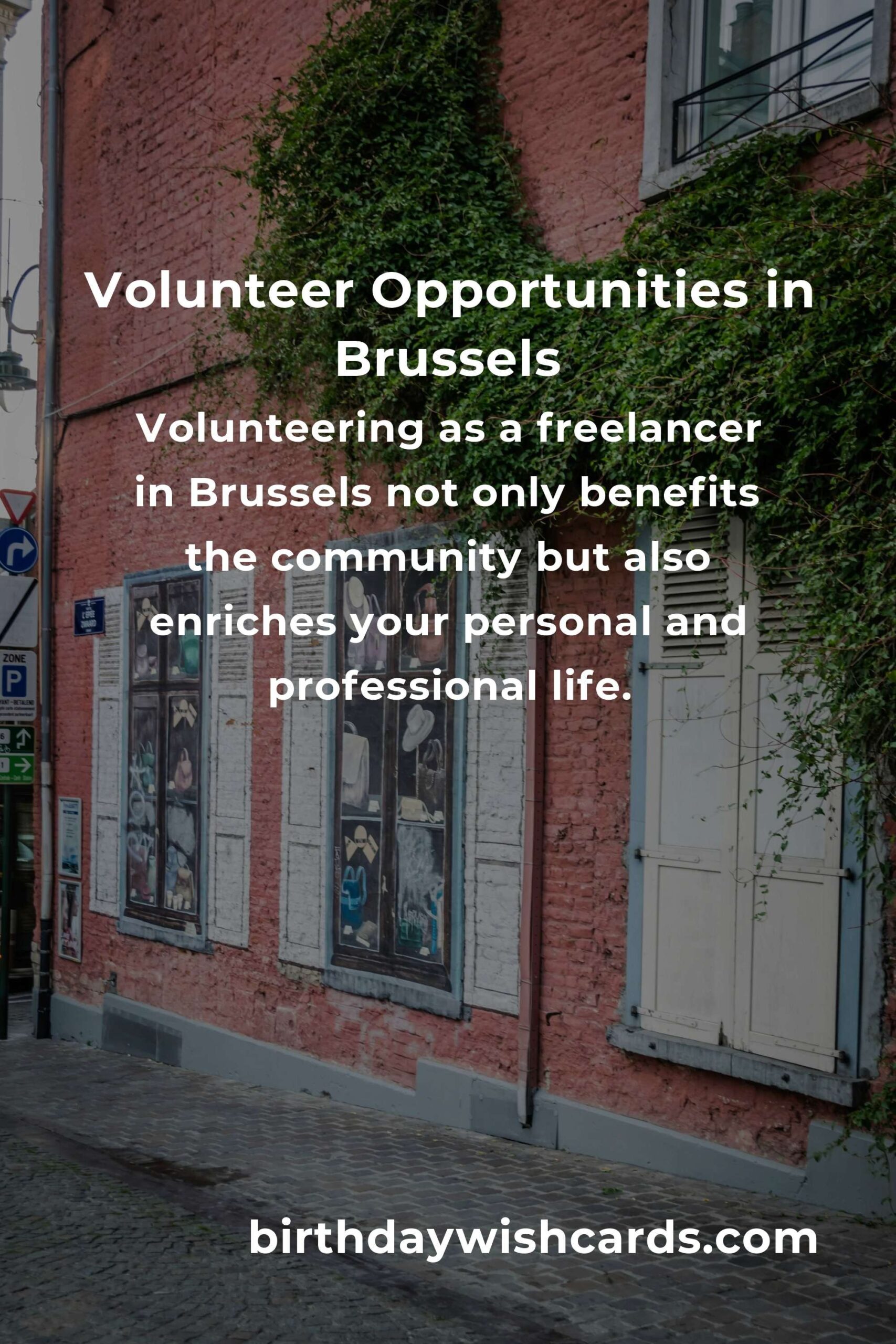 Top Volunteer Opportunities for Freelancers in Brussels