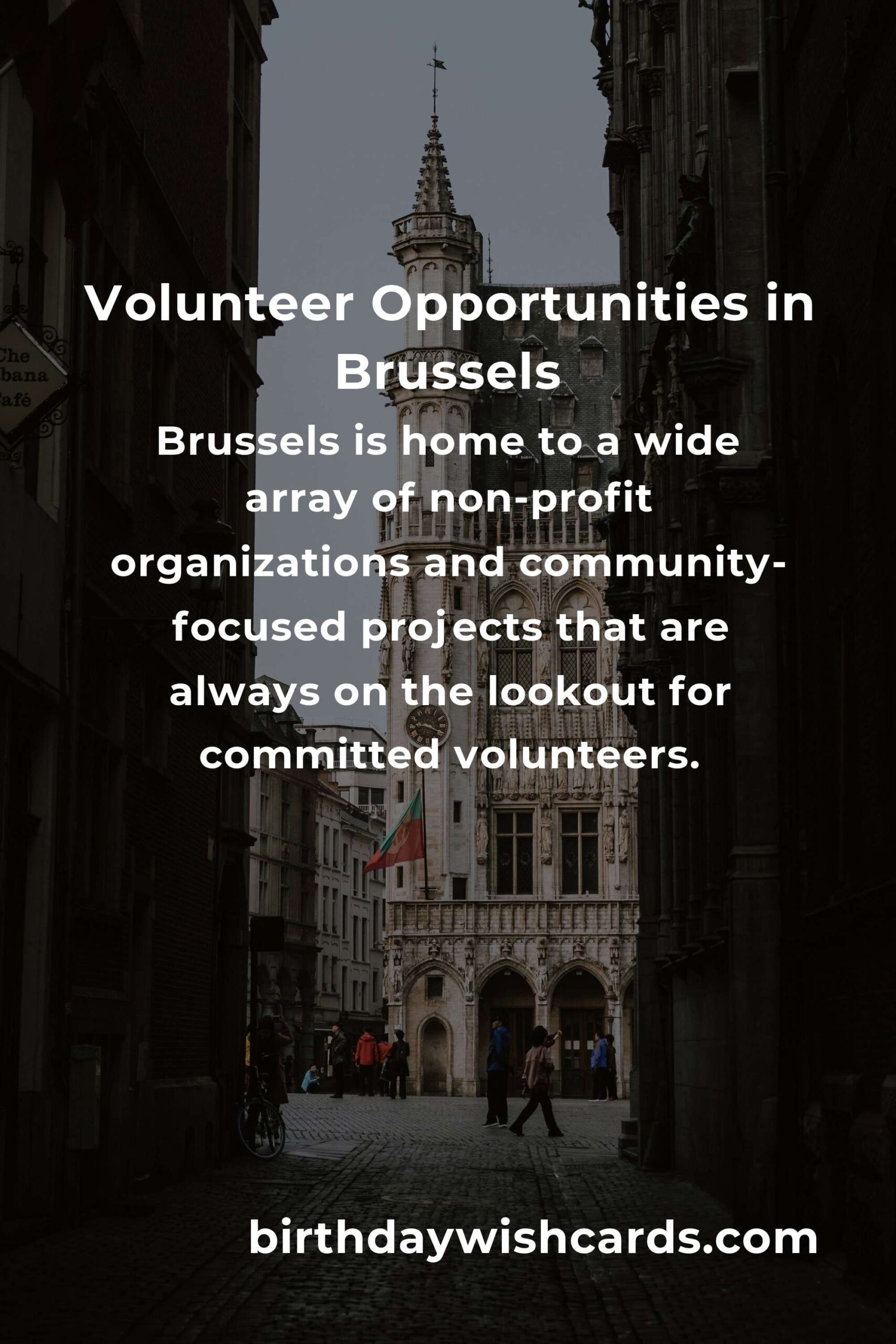 Top Volunteer Opportunities for Freelancers in Brussels