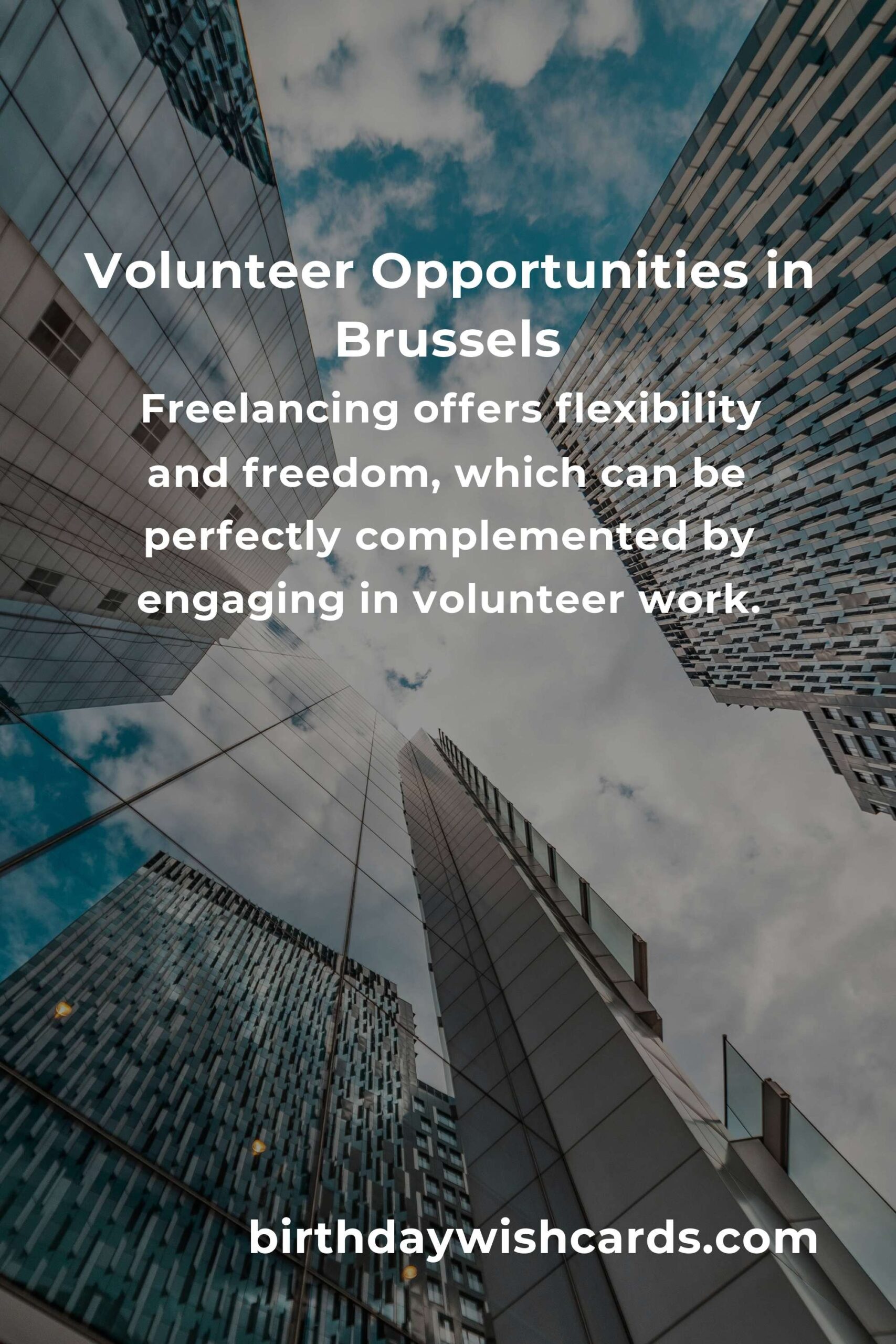 Top Volunteer Opportunities for Freelancers in Brussels