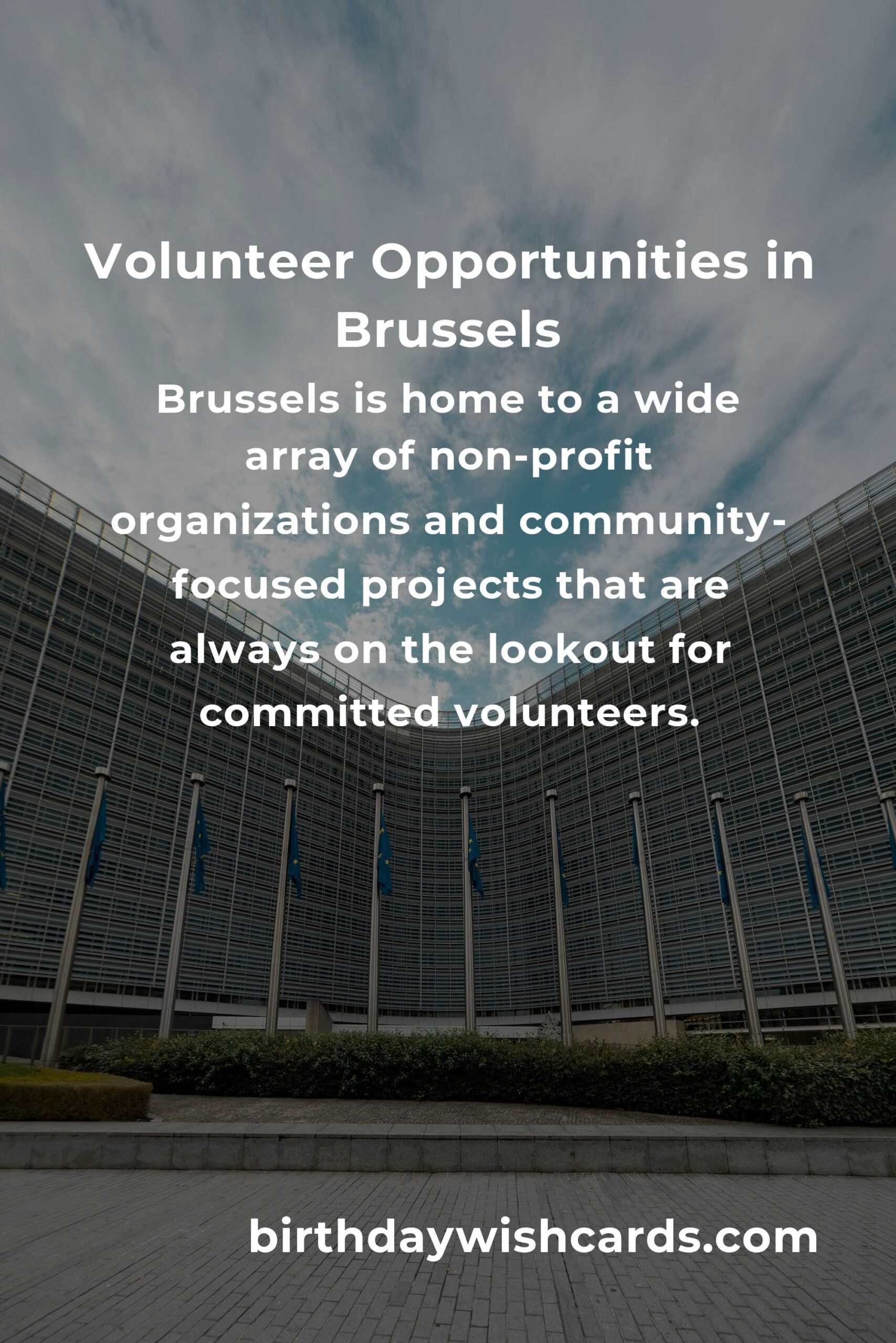 Top Volunteer Opportunities for Freelancers in Brussels