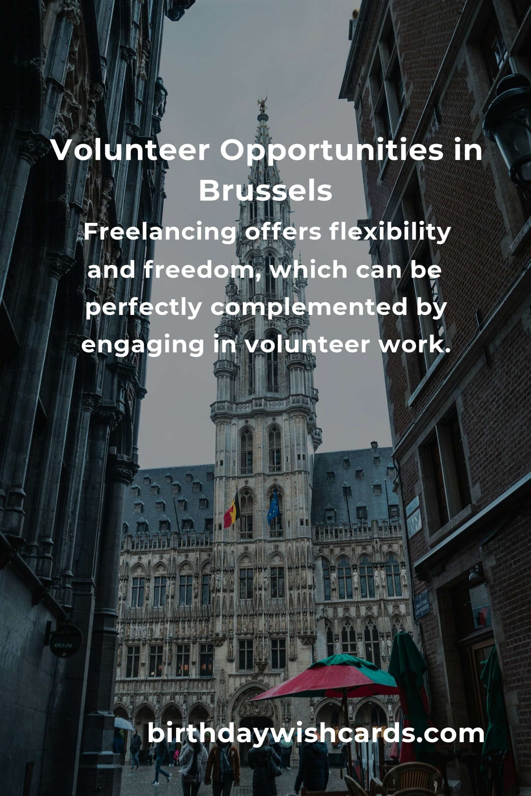 Top Volunteer Opportunities for Freelancers in Brussels