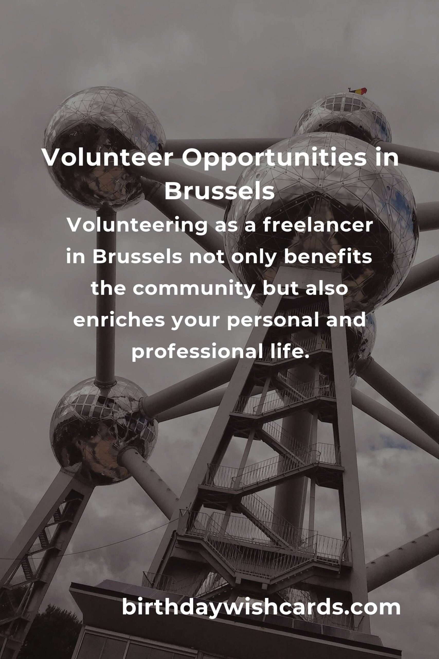 Top Volunteer Opportunities for Freelancers in Brussels