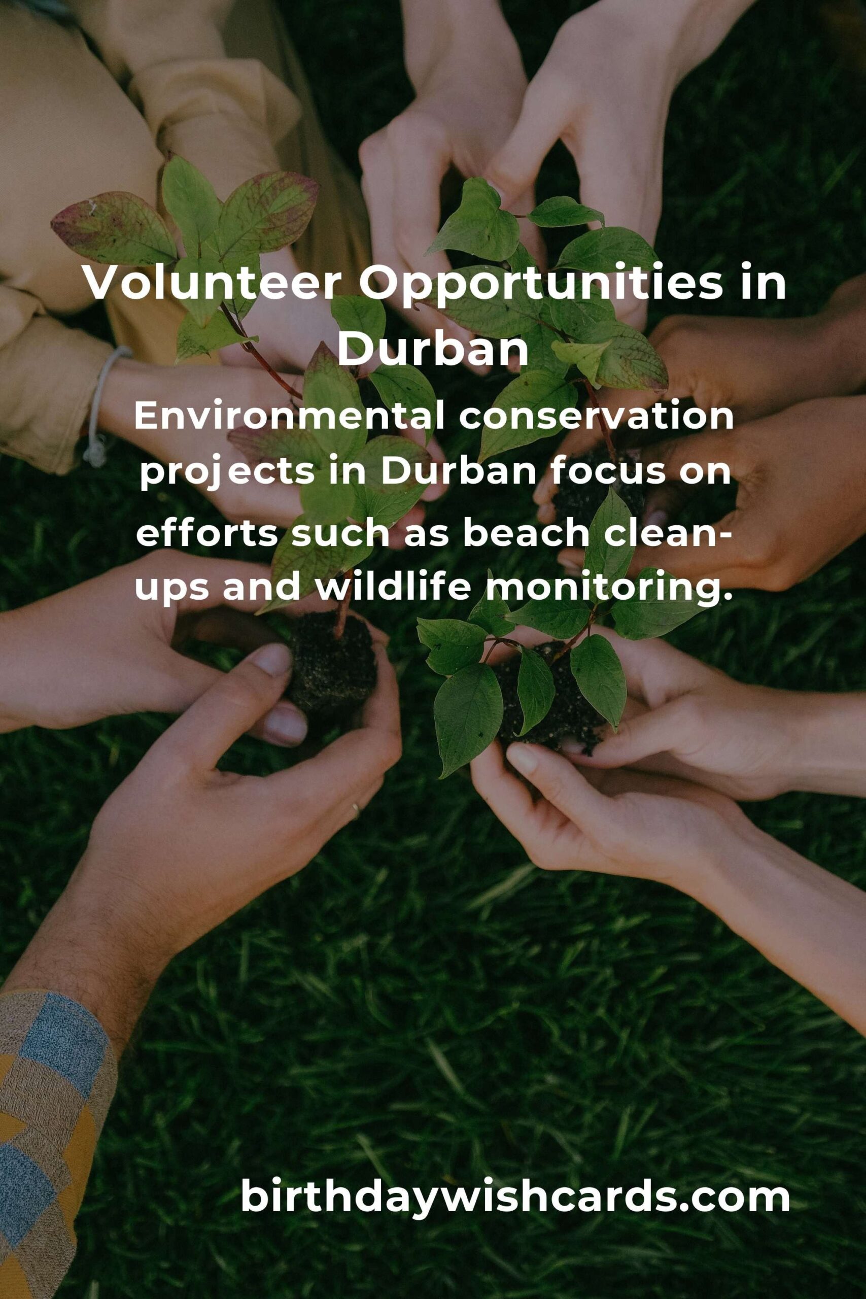 Volunteer Opportunities for Budget Travelers in Durban