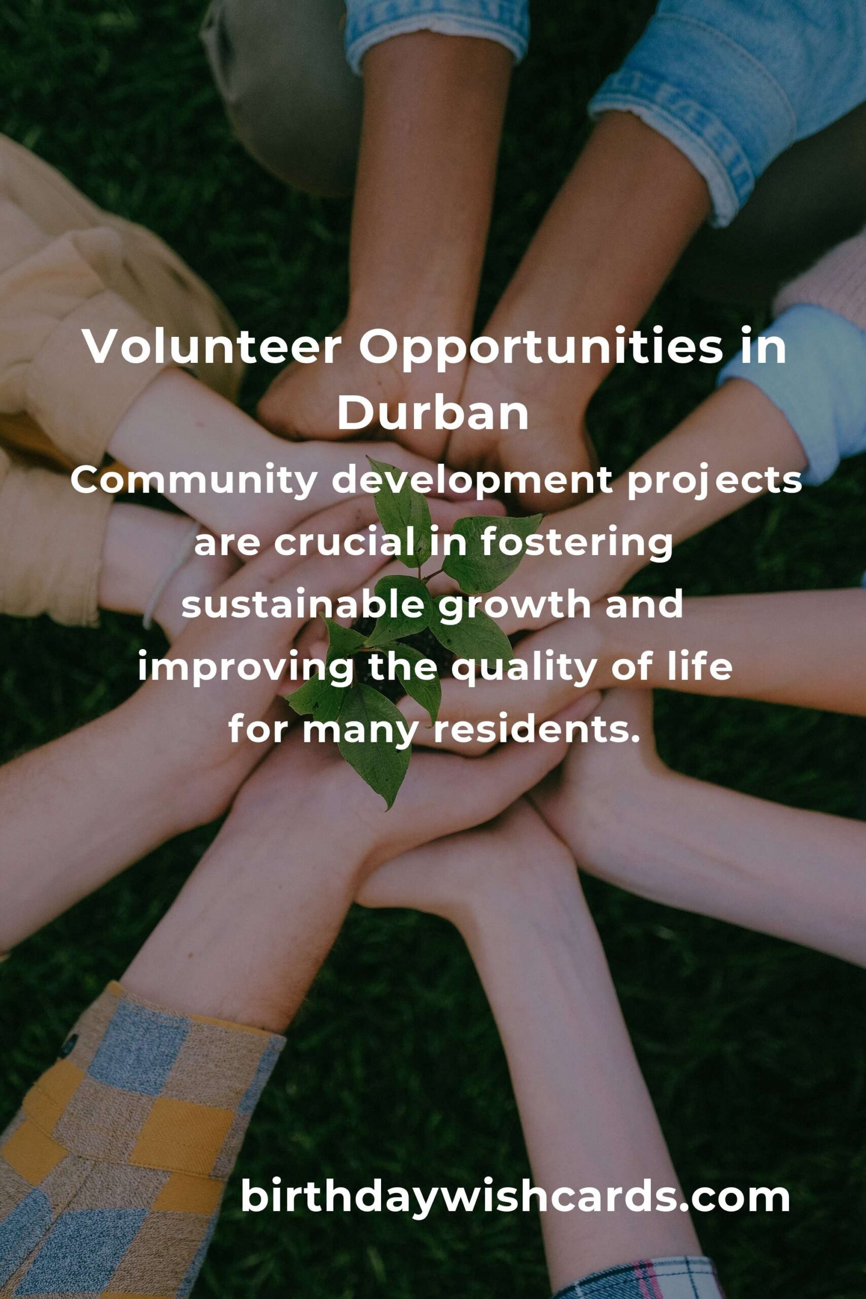 Volunteer Opportunities for Budget Travelers in Durban